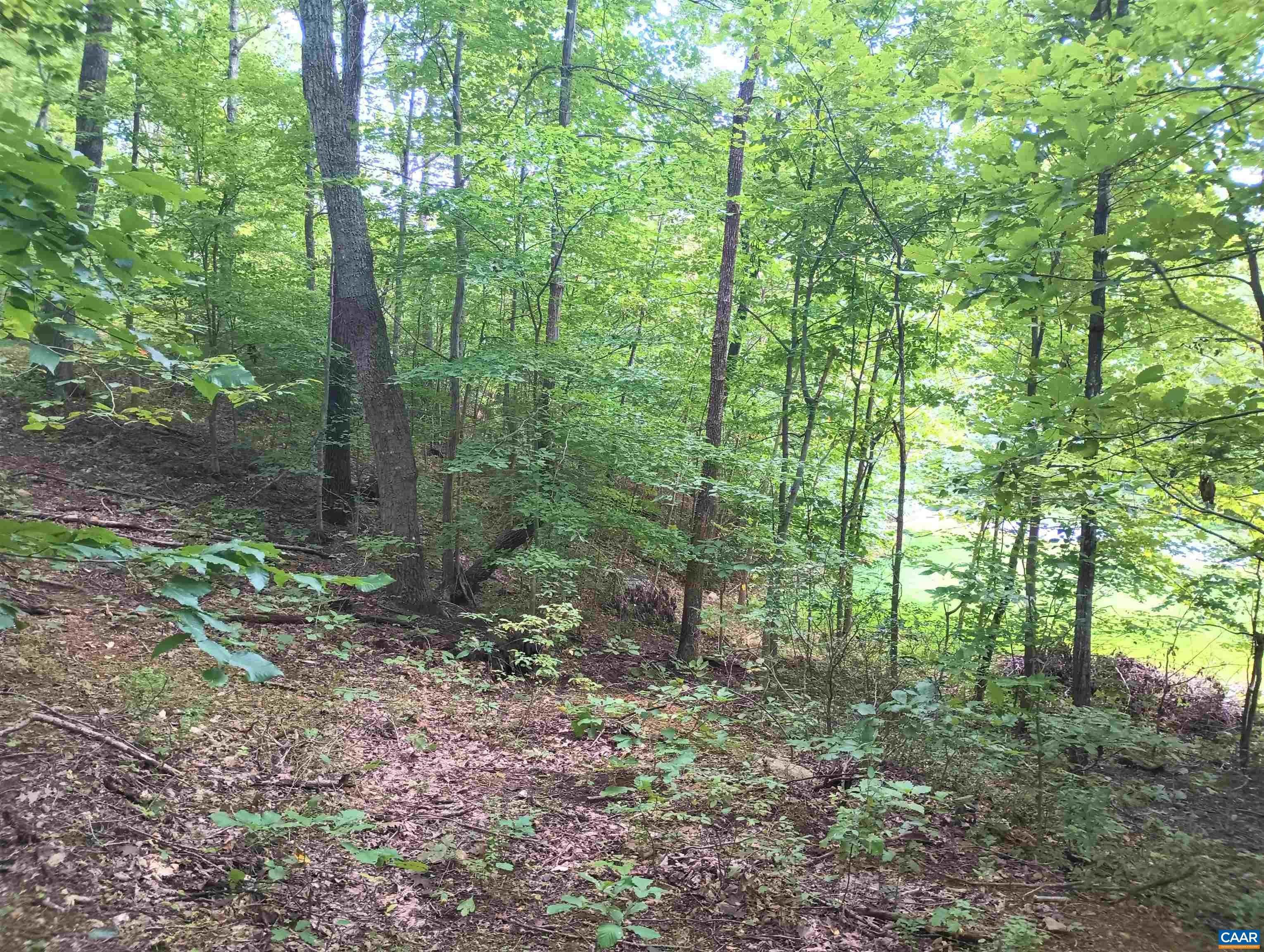 7. Land for Sale at Lot 1 ROCKFISH HEIGHTS Lane Nellysford, Virginia 22958 United States