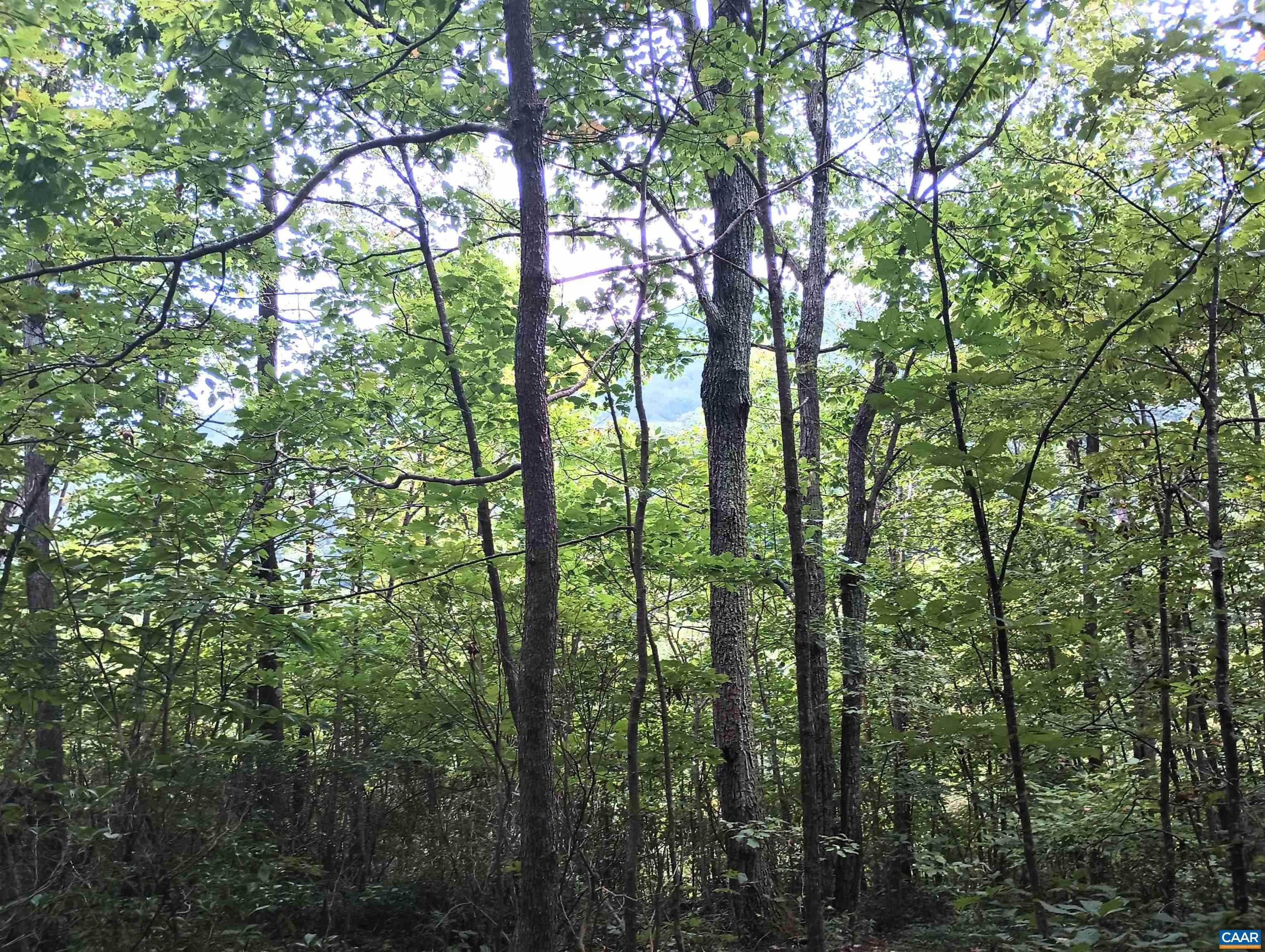 8. Land for Sale at Lot 1 ROCKFISH HEIGHTS Lane Nellysford, Virginia 22958 United States