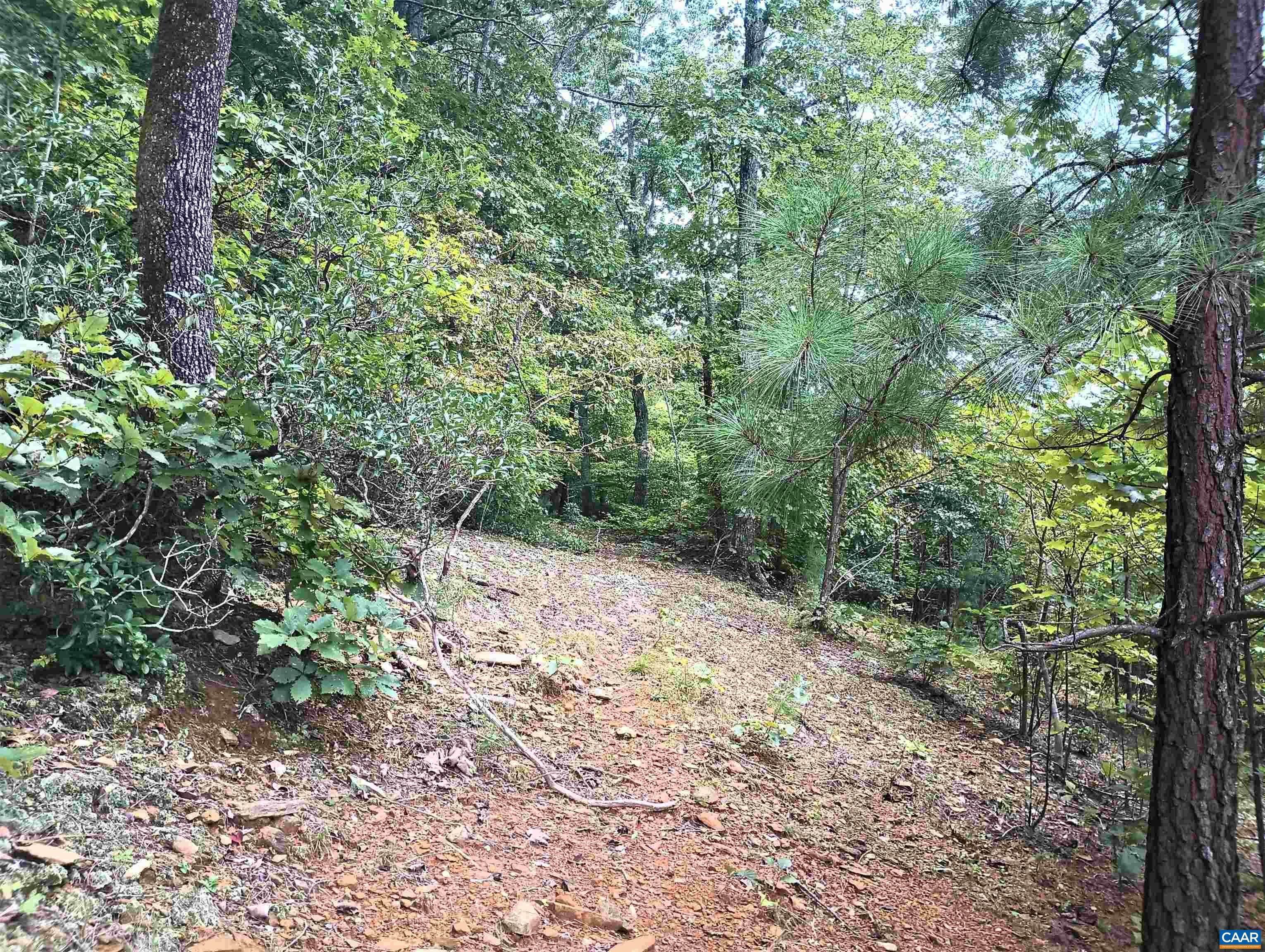 9. Land for Sale at Lot 1 ROCKFISH HEIGHTS Lane Nellysford, Virginia 22958 United States