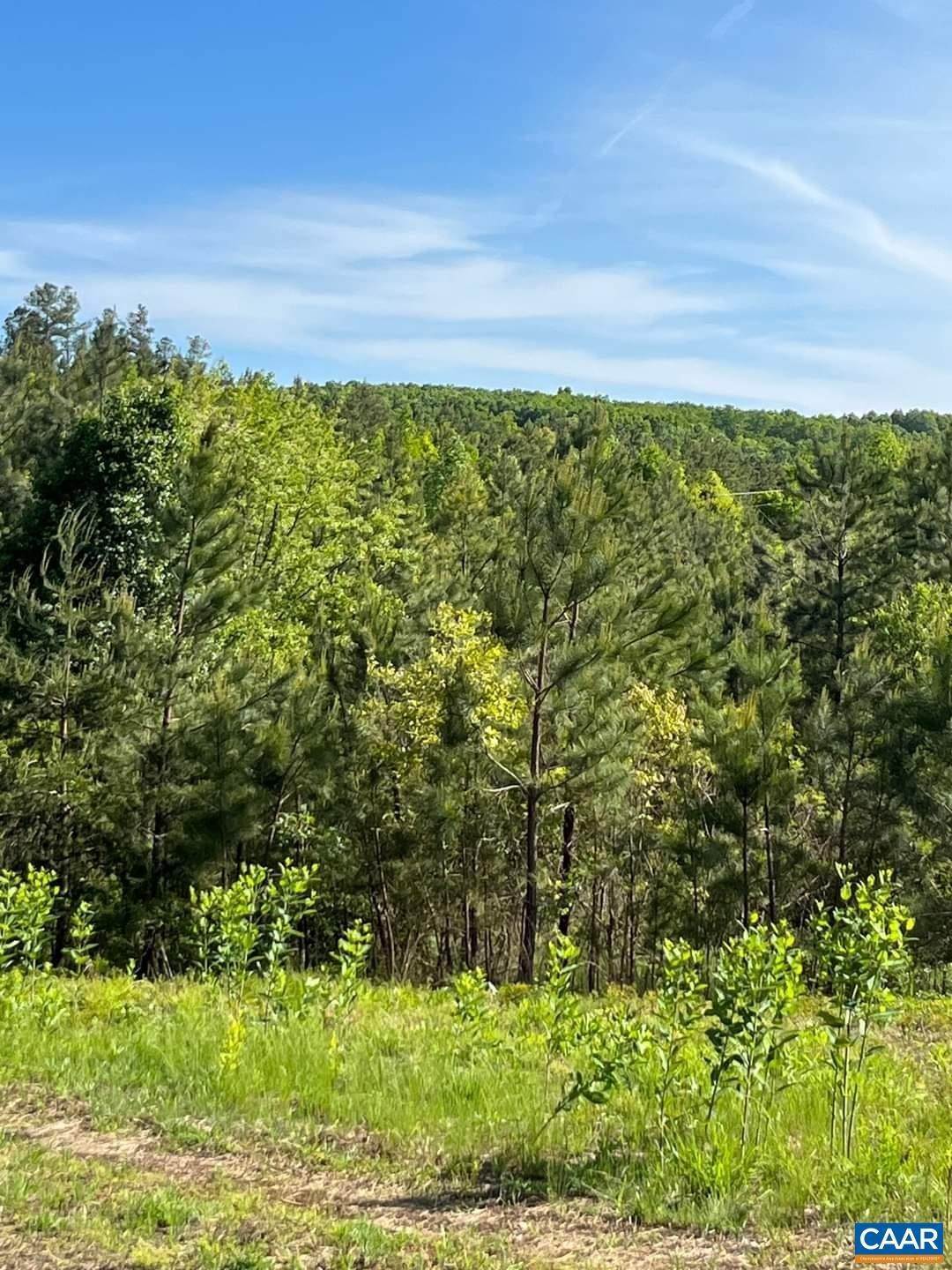 6. Land for Sale at GRIZZLY Road Appomattox, Virginia 24522 United States