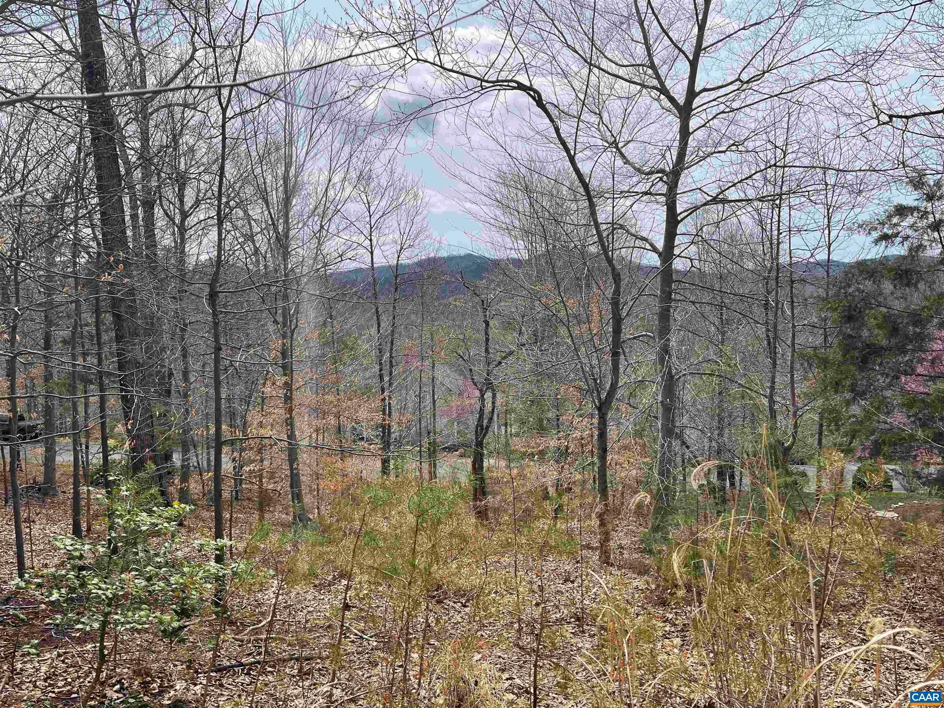 Land for Sale at 316 STONEY CREEK WEST Nellysford, Virginia 22958 United States