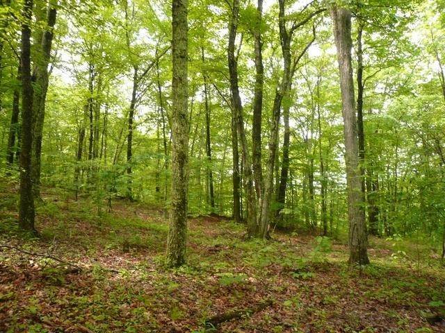 Land for Sale at OLD DAIRY Road Warm Springs, Virginia 24484 United States