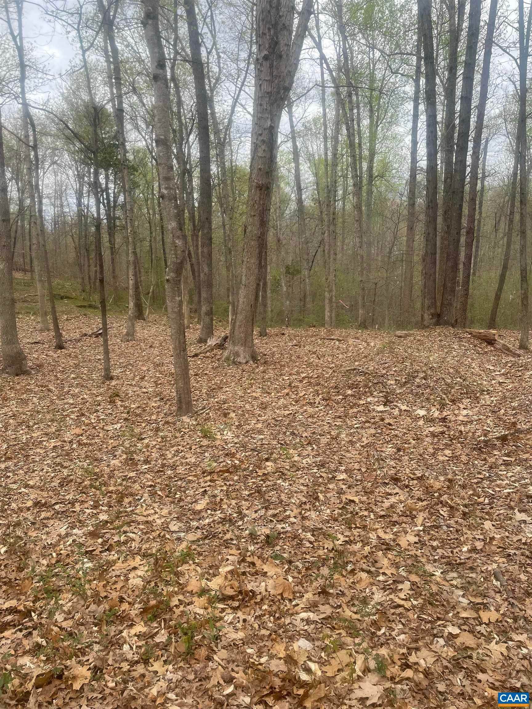 3. Land for Sale at 2150C Lot 7 MOORE Road Ruckersville, Virginia 22968 United States