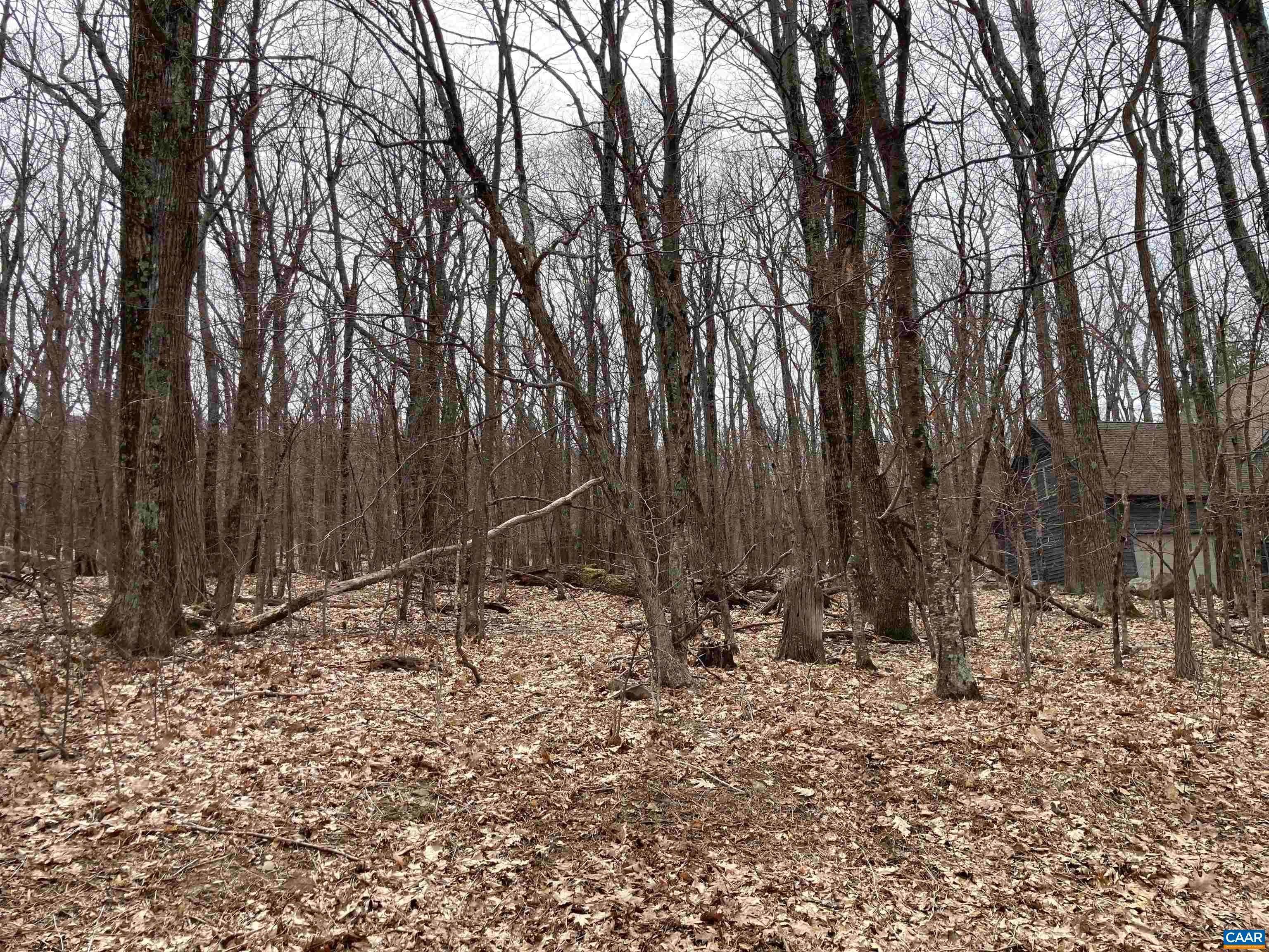 3. Land for Sale at 318 TIMBER CAMP Drive Roseland, Virginia 22967 United States