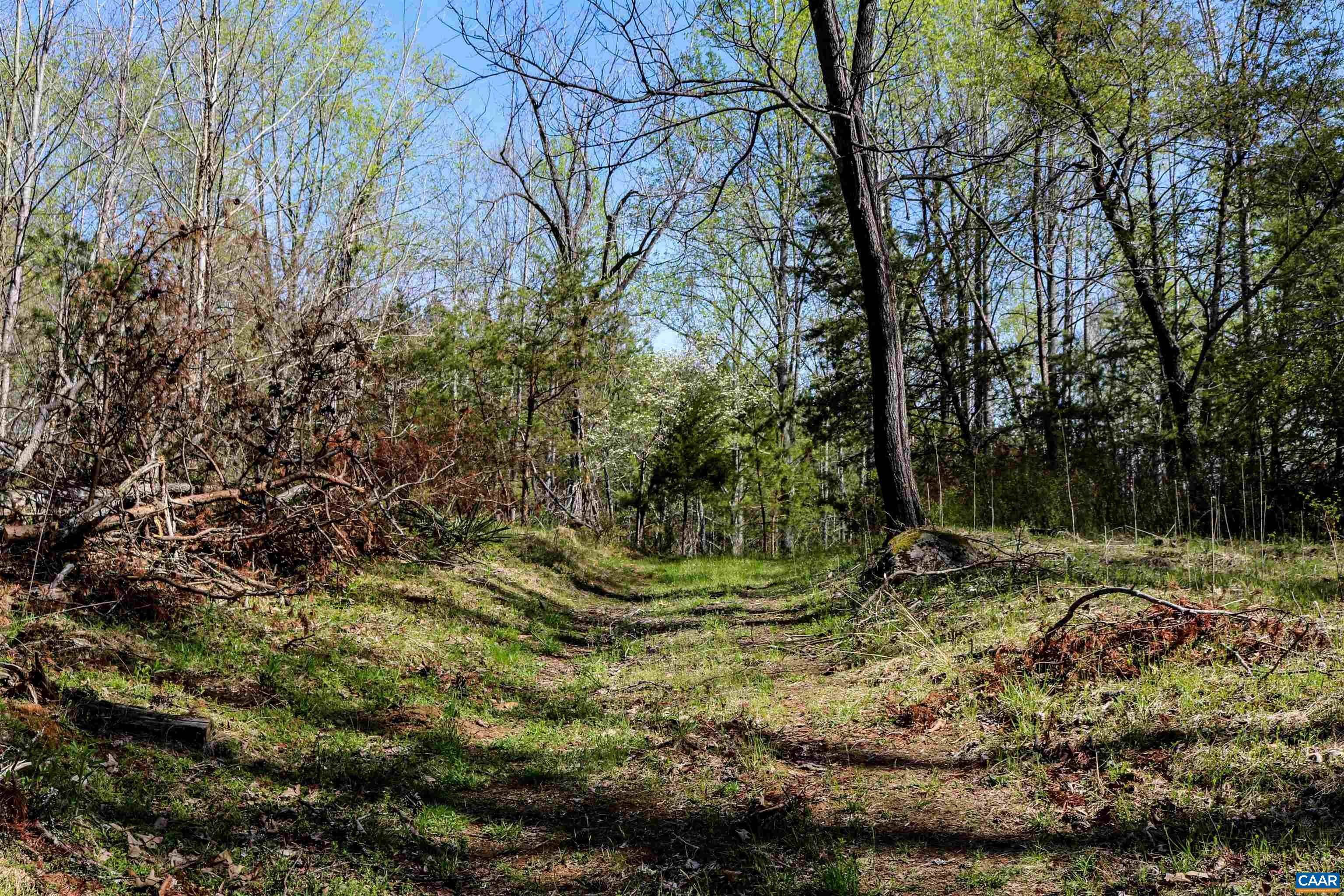 29. Land for Sale at TAYLOR CREEK Road Afton, Virginia 22920 United States