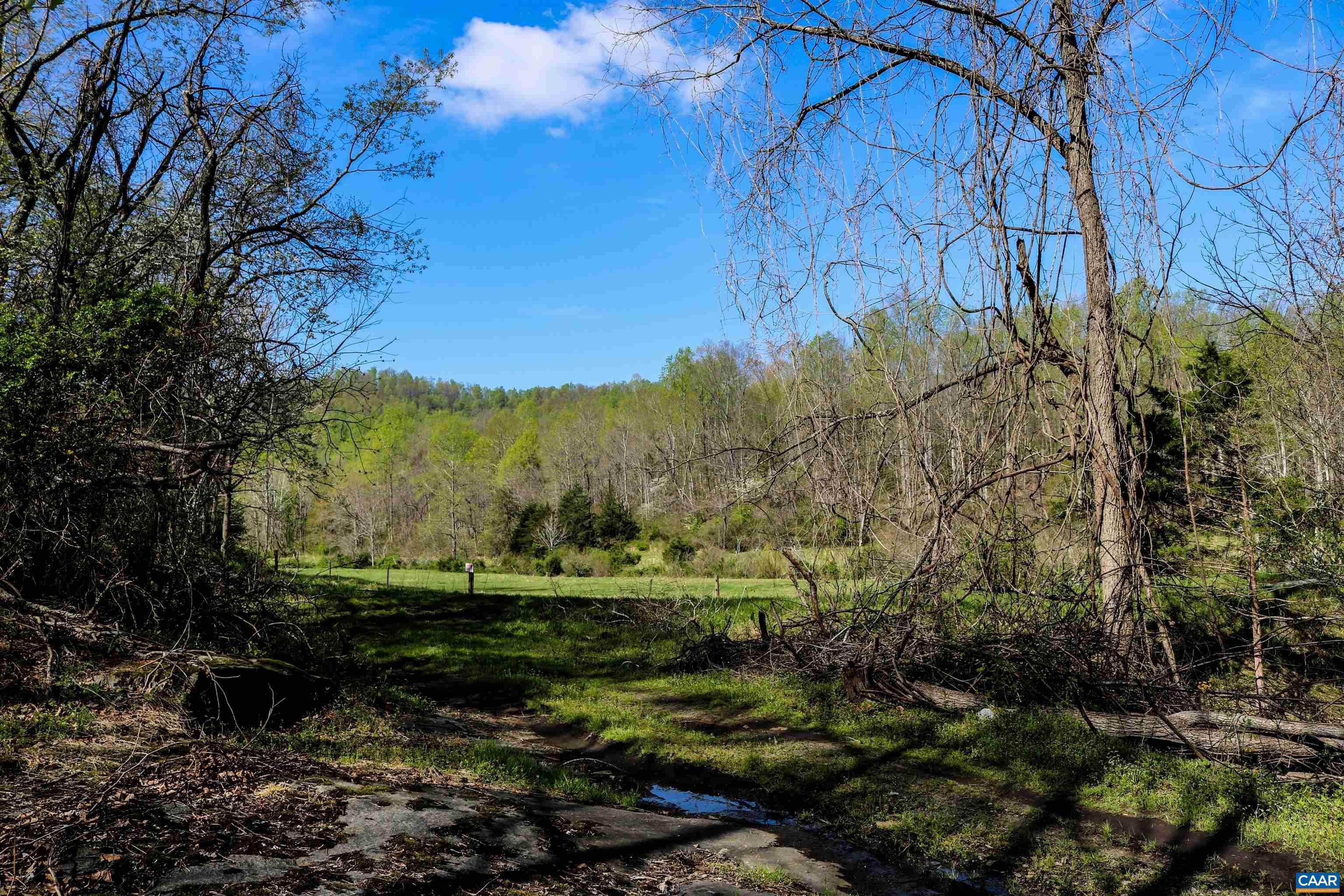 32. Land for Sale at TAYLOR CREEK Road Afton, Virginia 22920 United States
