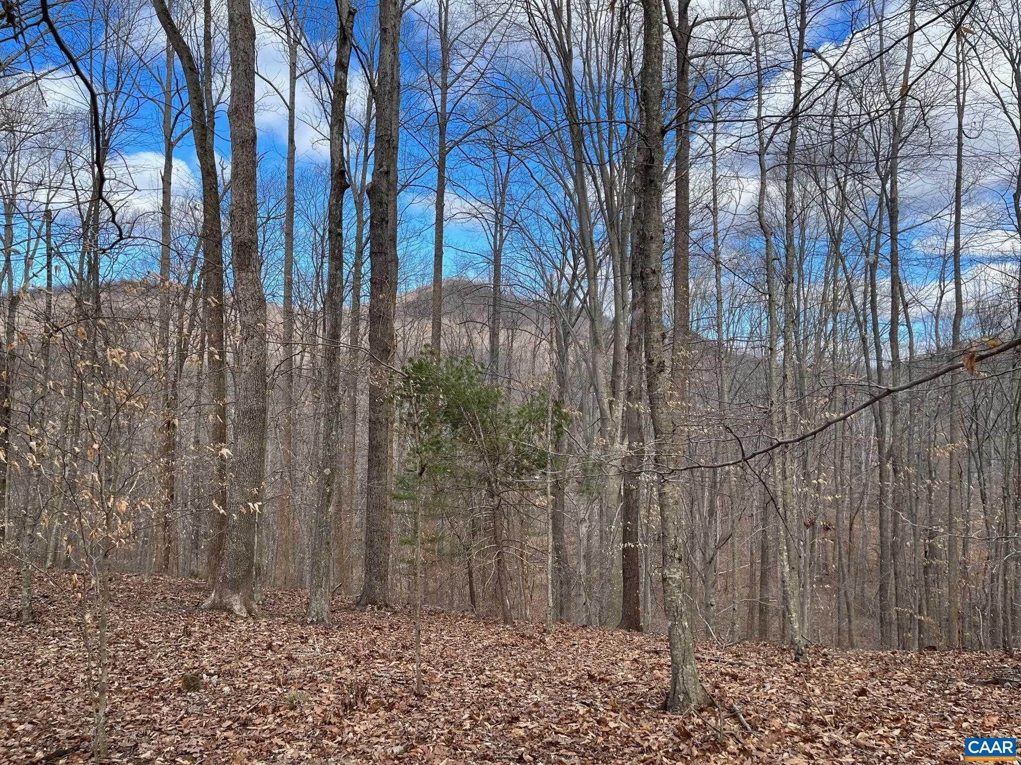 30. Land for Sale at 2330 OLD ROBERTS MOUNTAIN Road Faber, Virginia 22938 United States