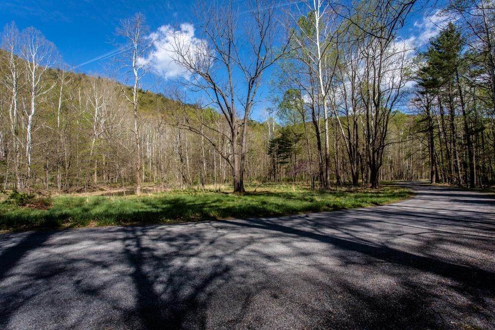 47. Land for Sale at GERMAN RIVER Road Criders, Virginia 22820 United States