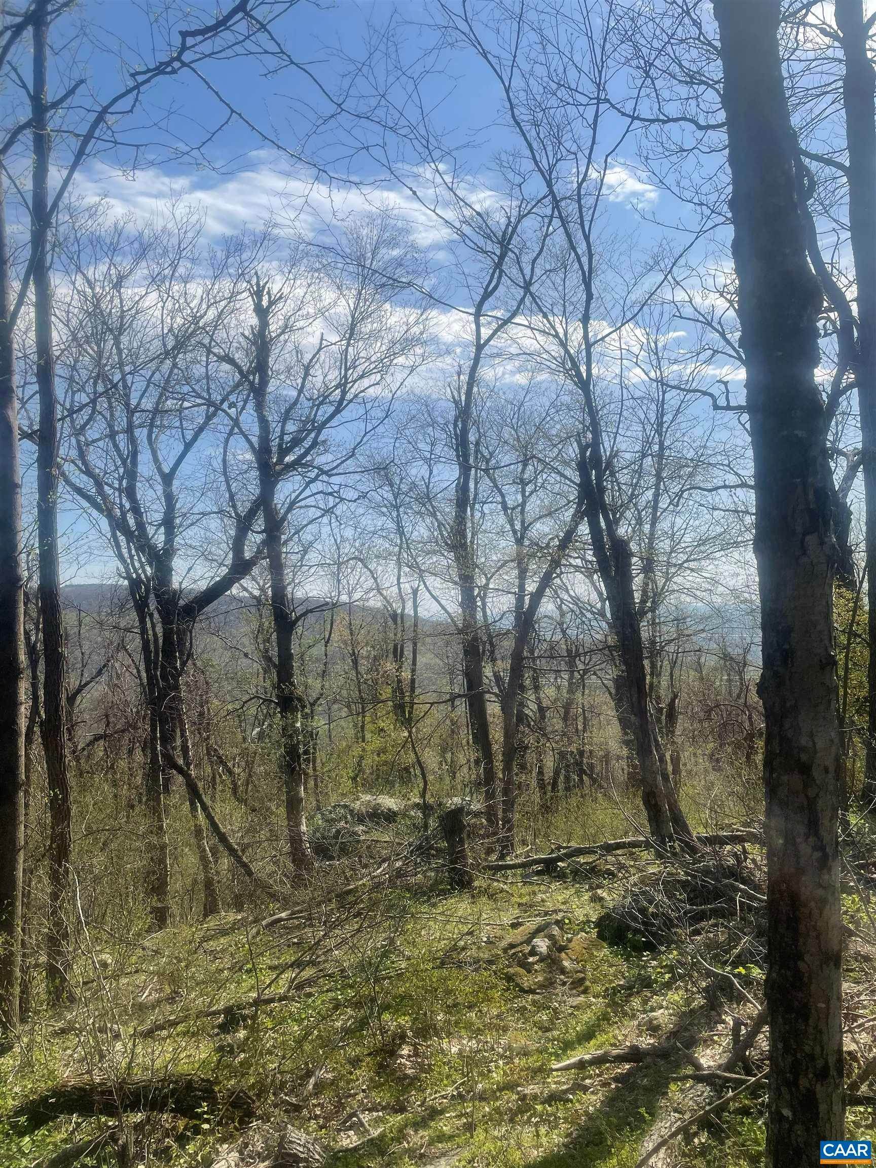 1. Land for Sale at Lot 17 CALF MOUNTAIN Road Crozet, Virginia 22932 United States