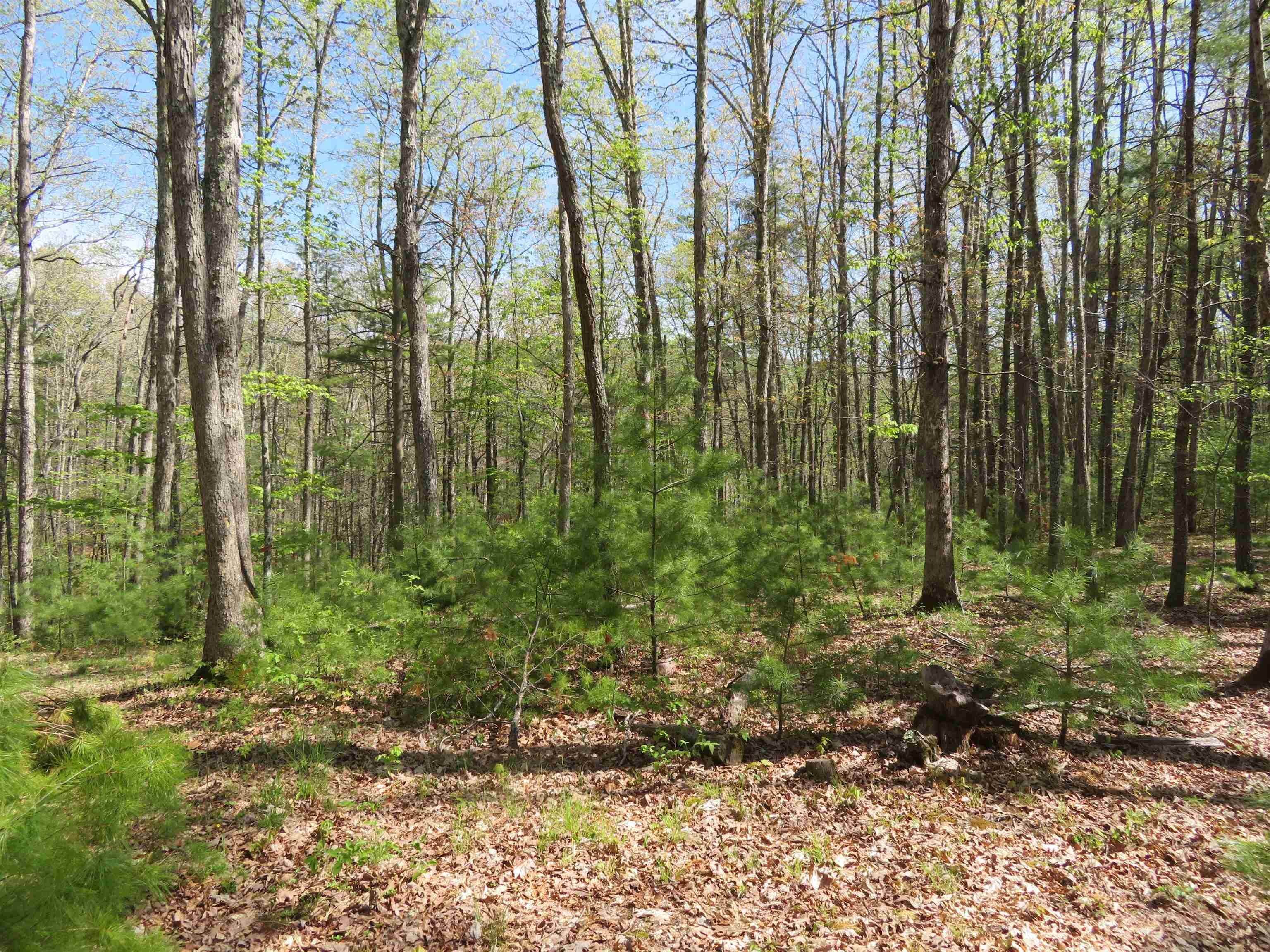 3. Land for Sale at WHIP POOR WILL Drive Warm Springs, Virginia 24484 United States