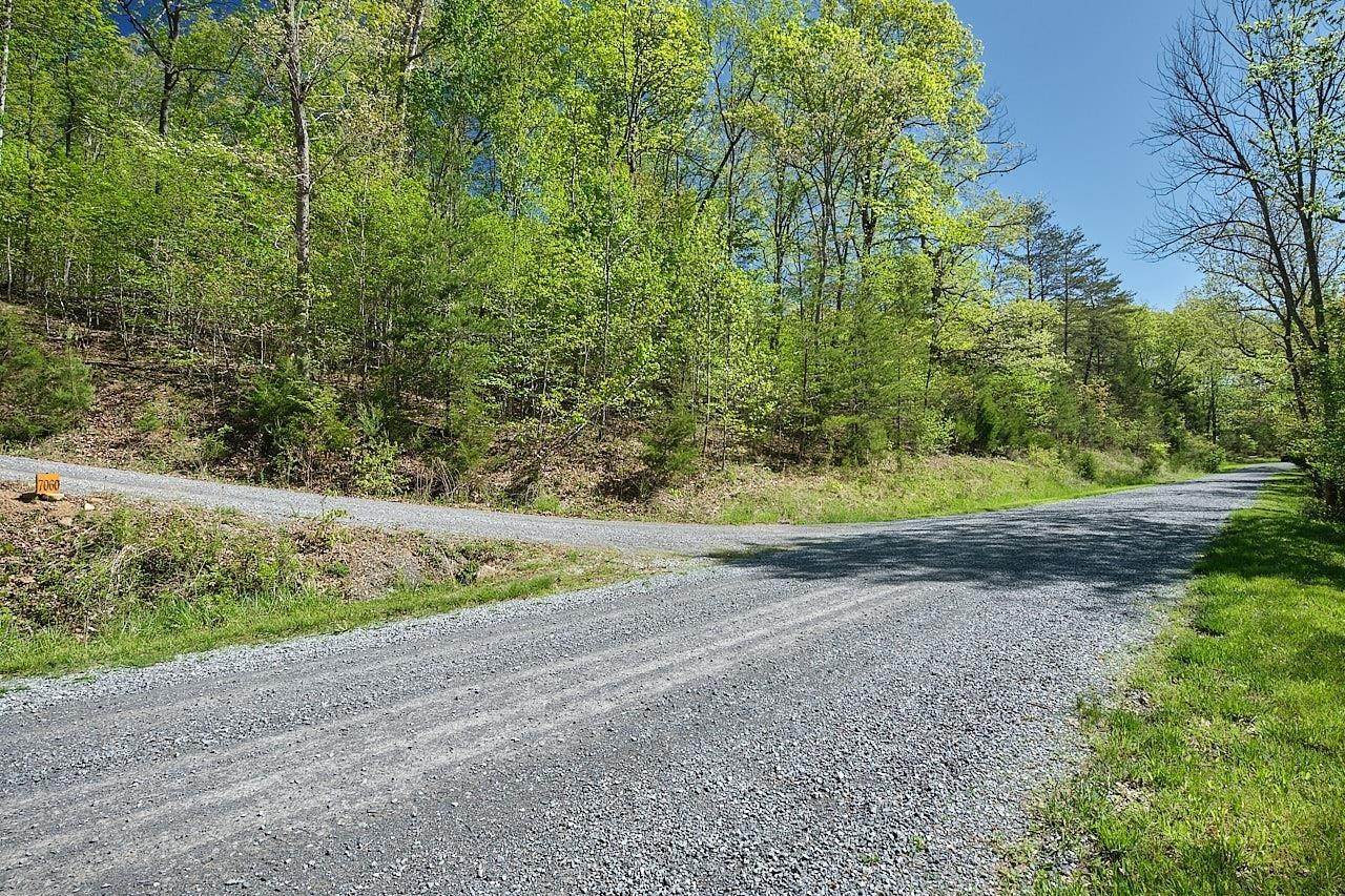 6. Land for Sale at MIRACLE SPRINGS Road Elkton, Virginia 22827 United States