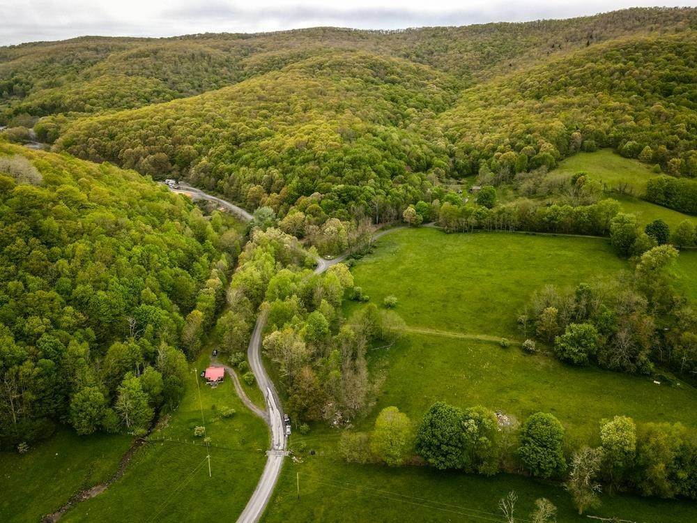 2. Land for Sale at TBD WHITES RUN Road Monterey, Virginia 24465 United States