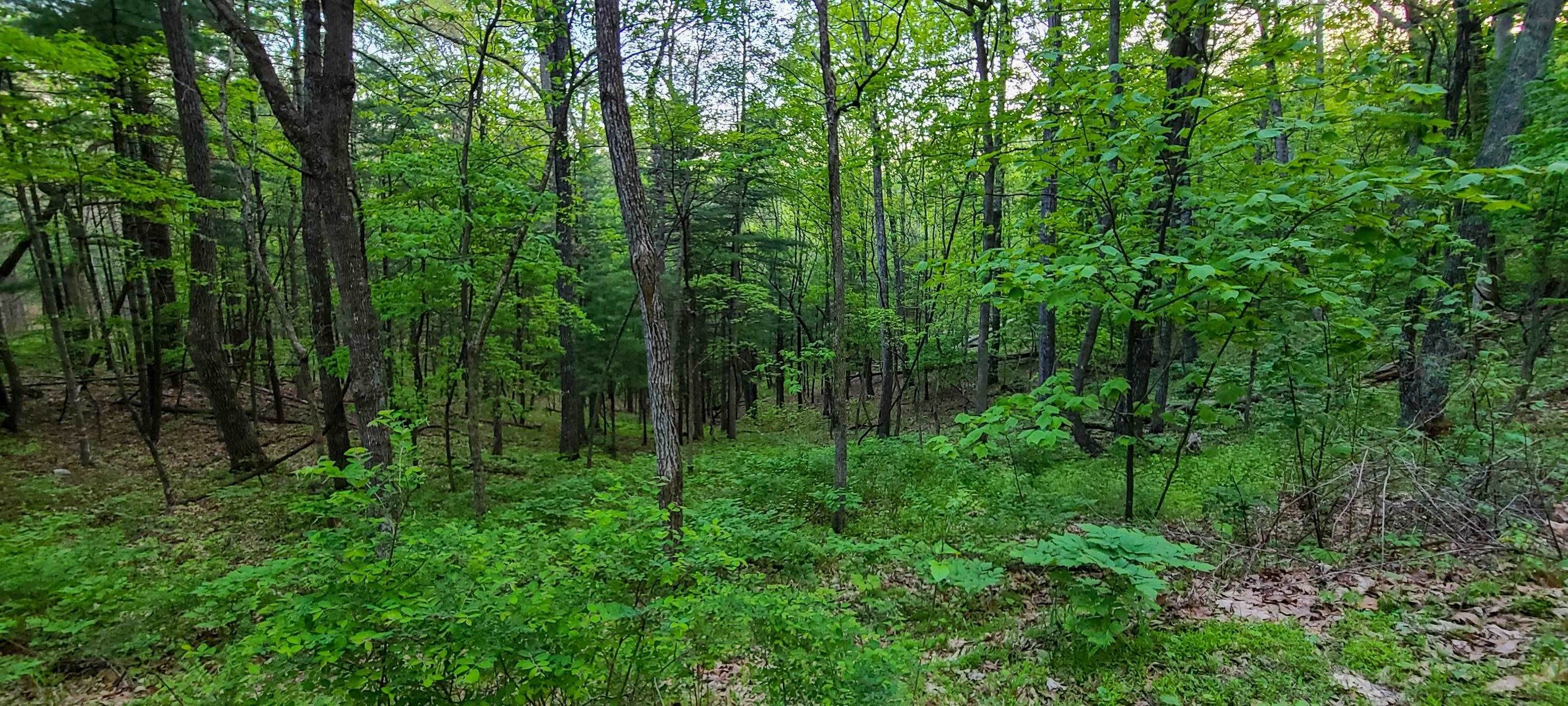 11. Land for Sale at 11897 HIGHLAND TPKE Mc Dowell, Virginia 24458 United States