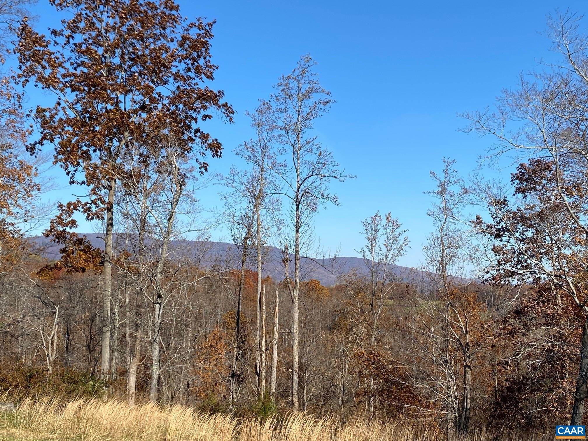 16. Land for Sale at 6480 DICK WOODS Road Charlottesville, Virginia 22903 United States