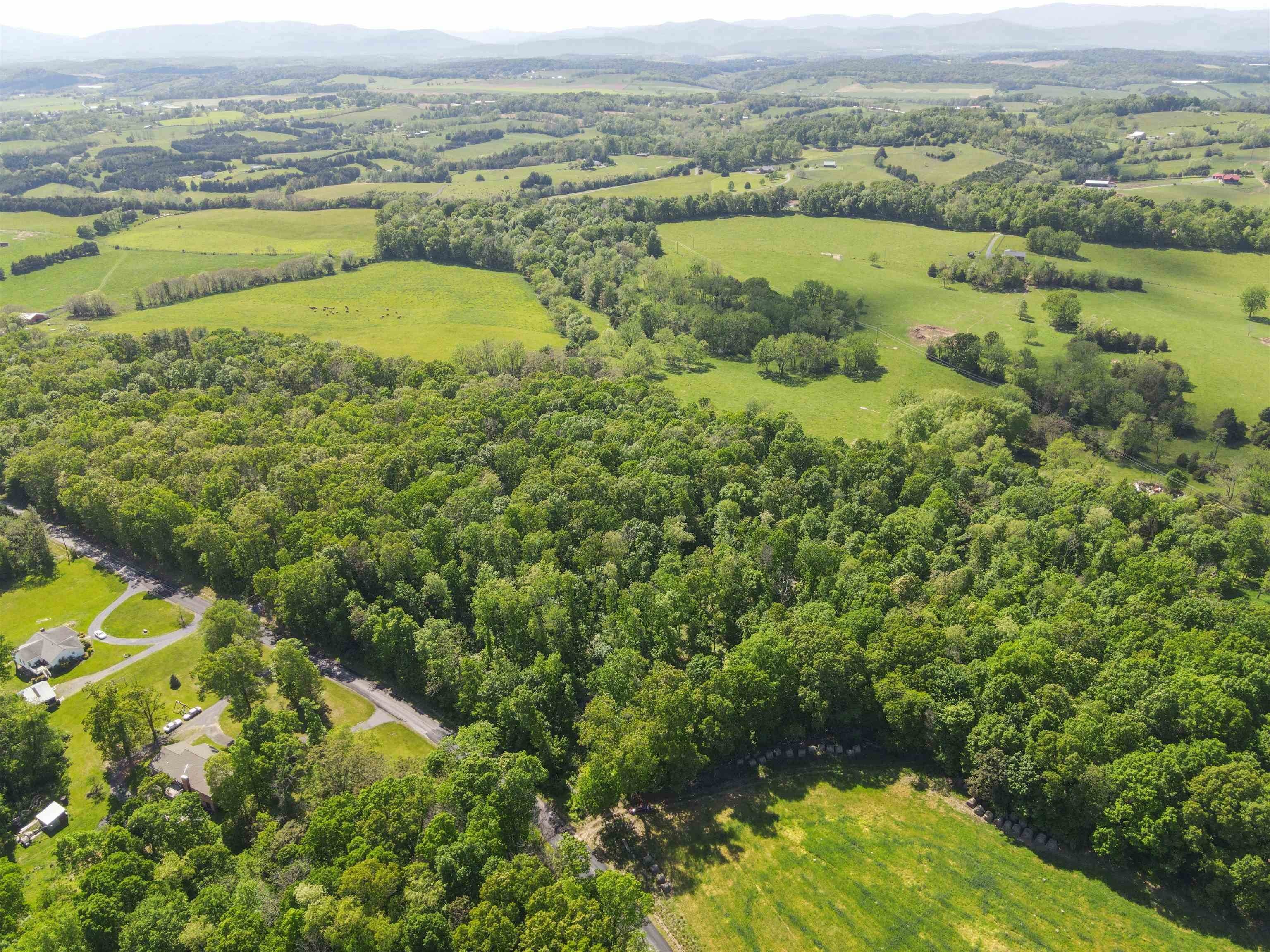 8. Land for Sale at 1.175 TODD Road Mount Sidney, Virginia 24467 United States
