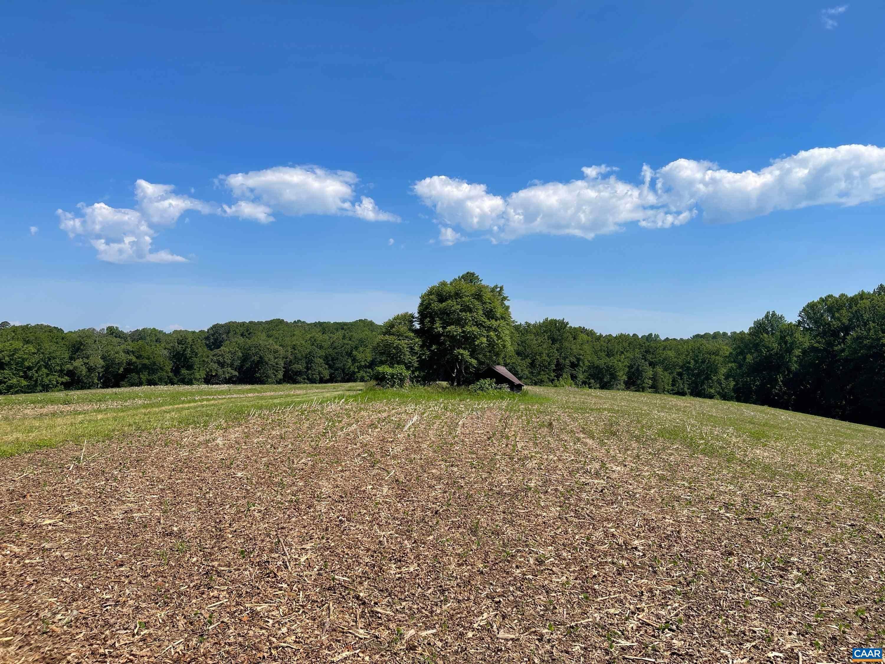 31. Land for Sale at TBD WEST BOTTOM Road Fork Union, Virginia 23055 United States