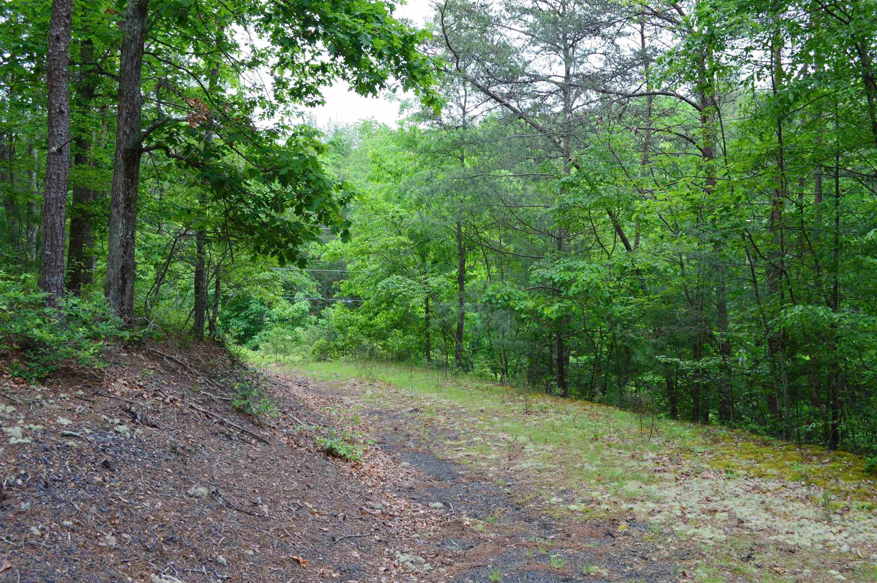 Land for Sale at TBD WHITETAIL WAY Clifton Forge, Virginia 24422 United States