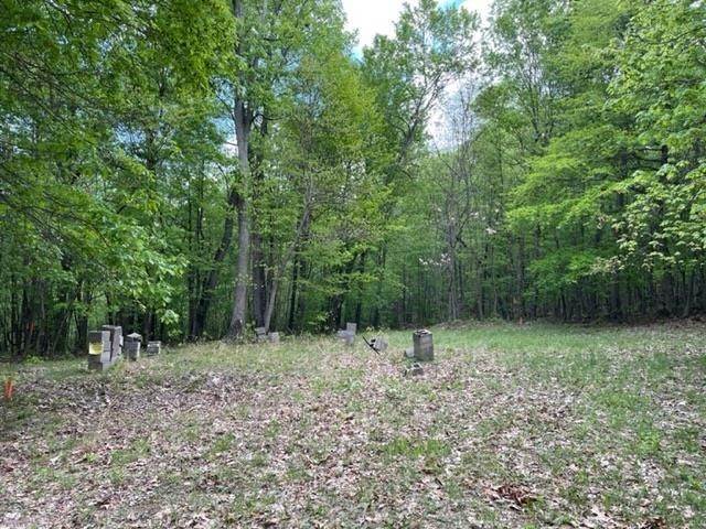 8. Land for Sale at MOUNTAIN TOP Lane New Market, Virginia 22844 United States