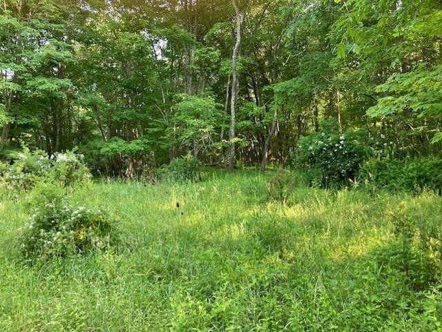 3. Land for Sale at TBD ORKNEY SPRINGS Road Orkney Springs, Virginia 22845 United States