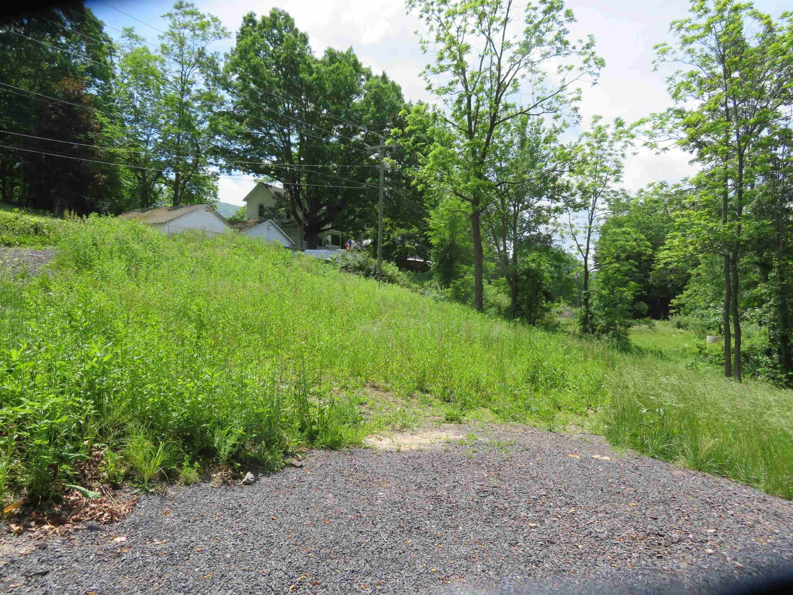 Land for Sale at FORESTRY Road Hot Springs, Virginia 24445 United States