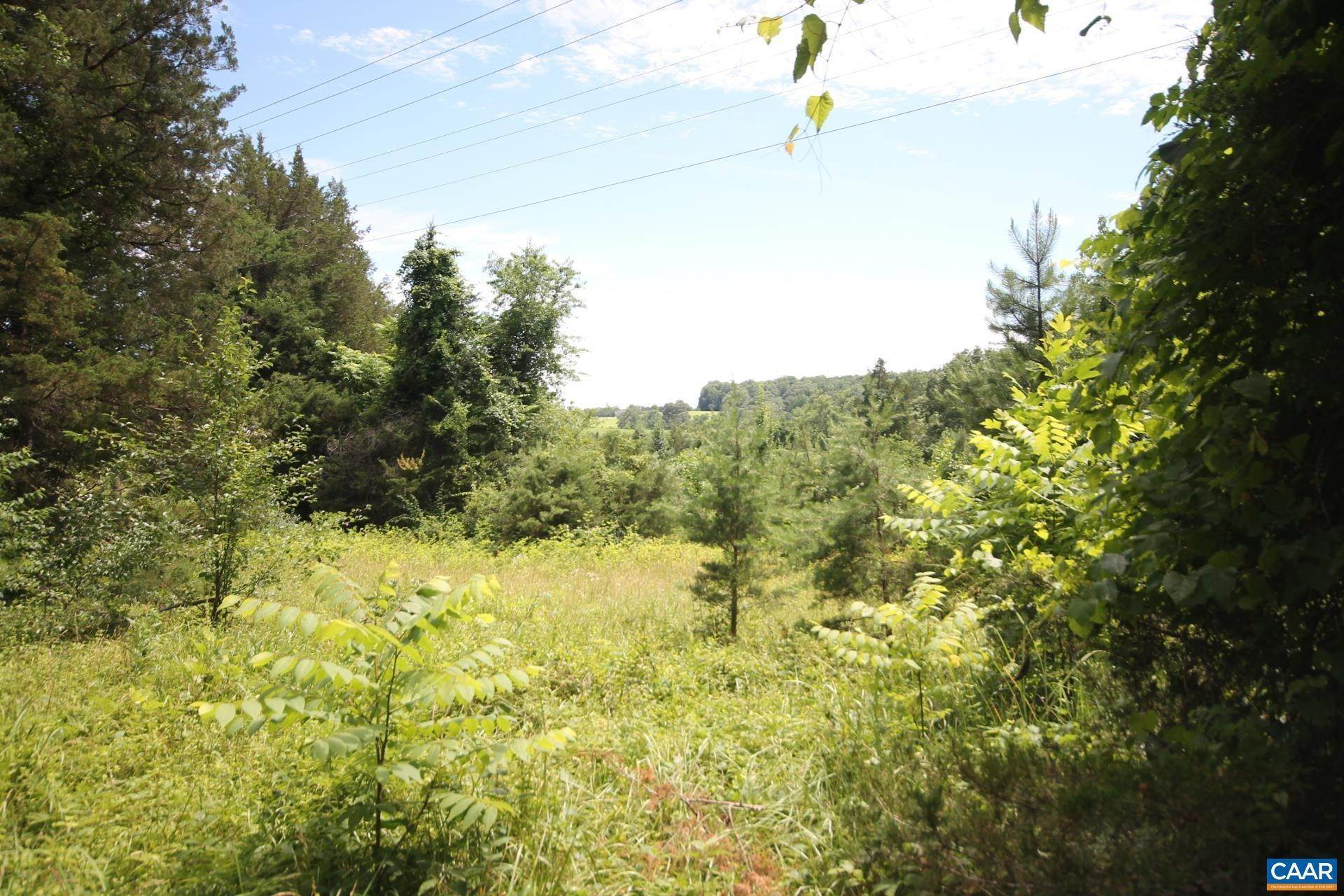 6. Land for Sale at Lot 6 WELSH RUN Road Ruckersville, Virginia 22968 United States