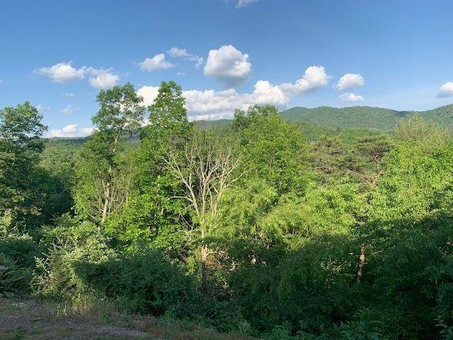 29. Single Family Homes for Sale at 1235 UPPER FORKS Road Head Waters, Virginia 24442 United States