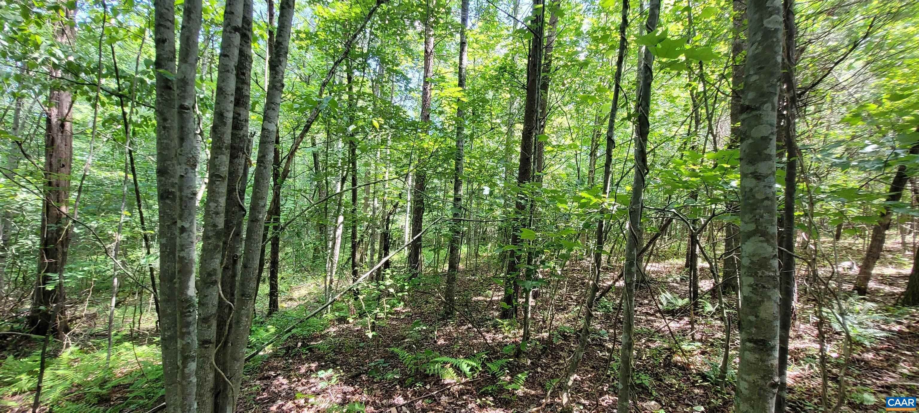 11. Land for Sale at 4 CASSIDY MOUNTAIN Road Earlysville, Virginia 22936 United States
