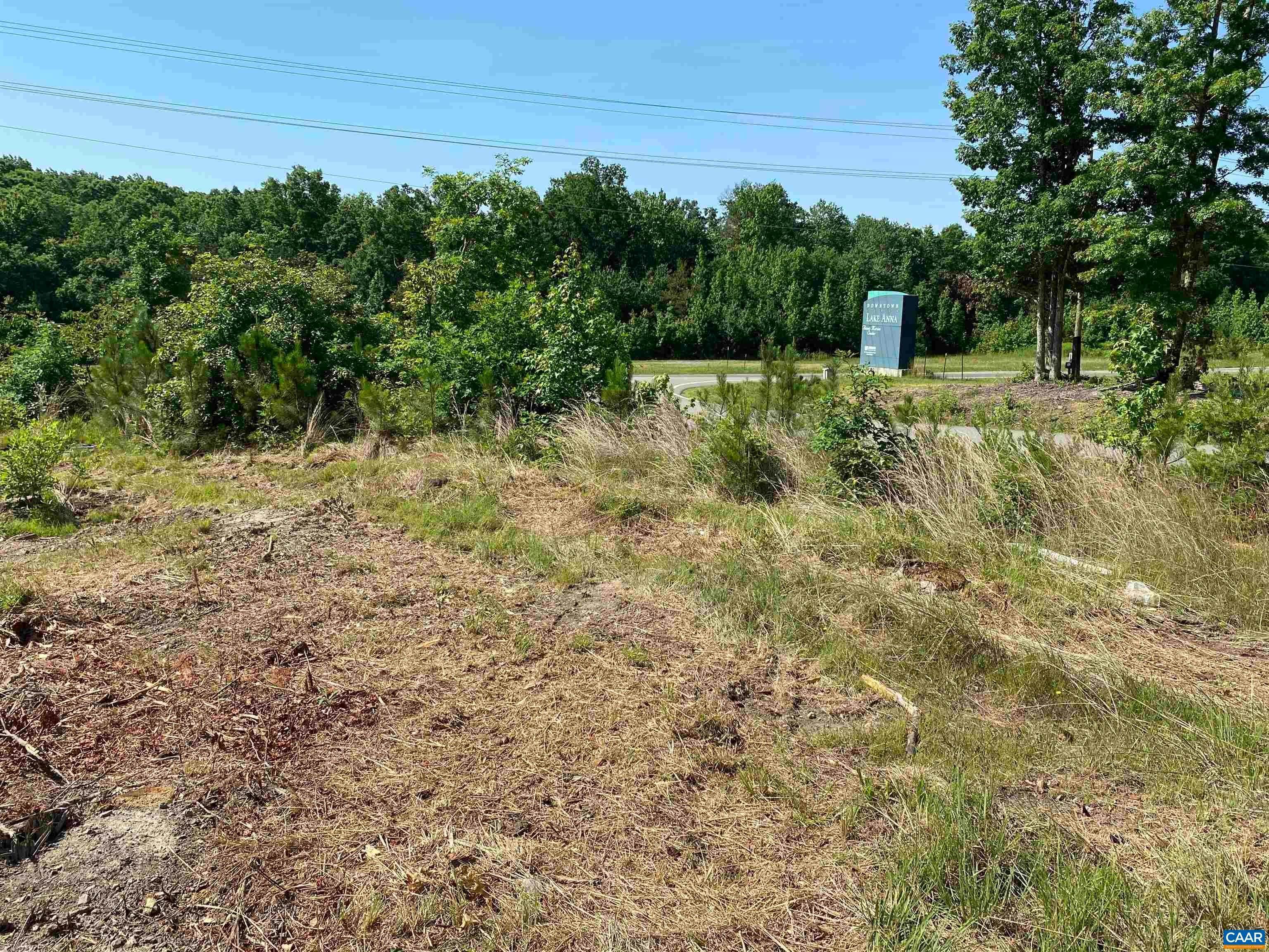 3. Land for Sale at 1885 NEW BRIDGE Road Mineral, Virginia 23117 United States