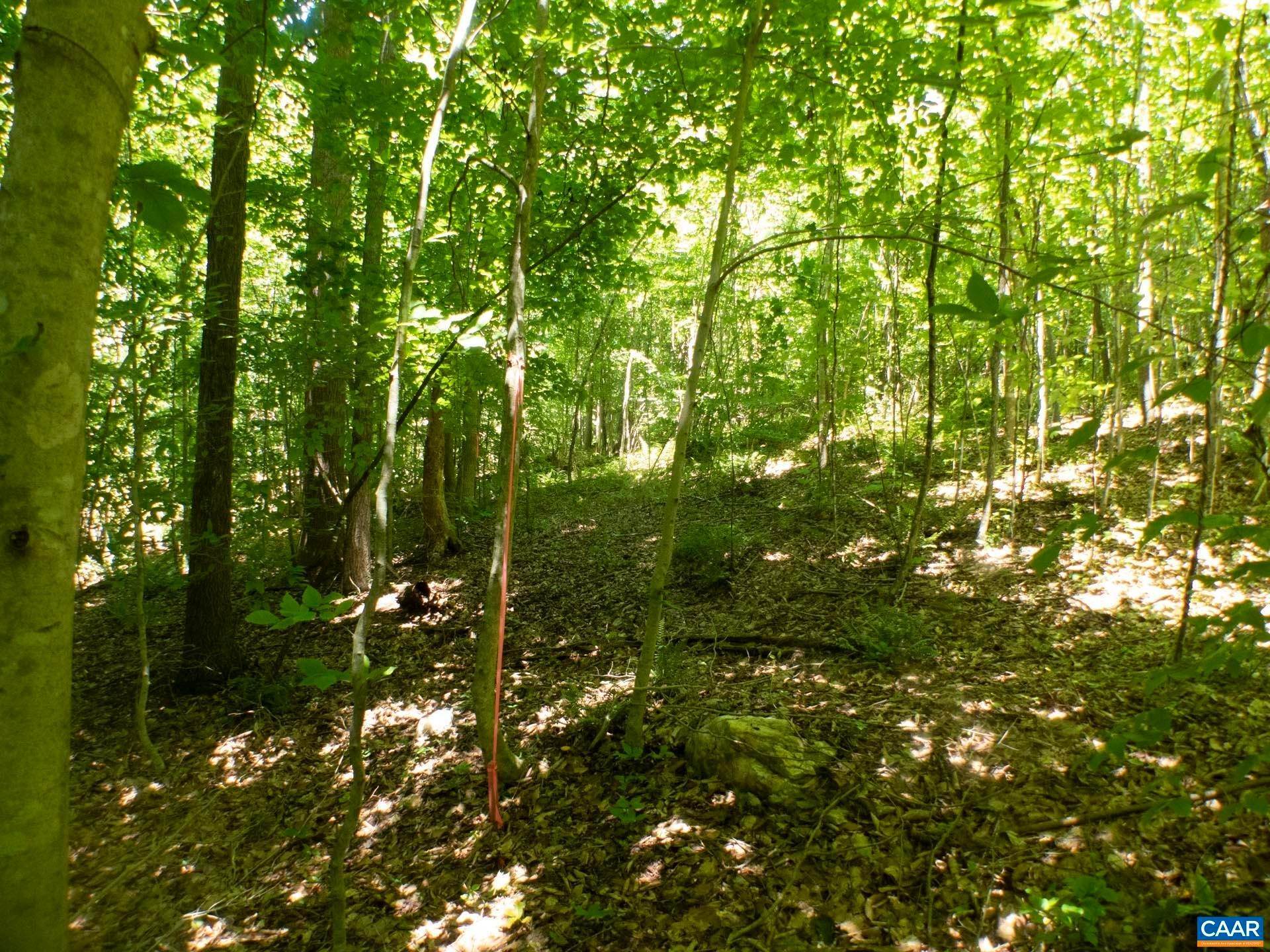 15. Land for Sale at SPOTSWOOD Trail Ruckersville, Virginia 22968 United States