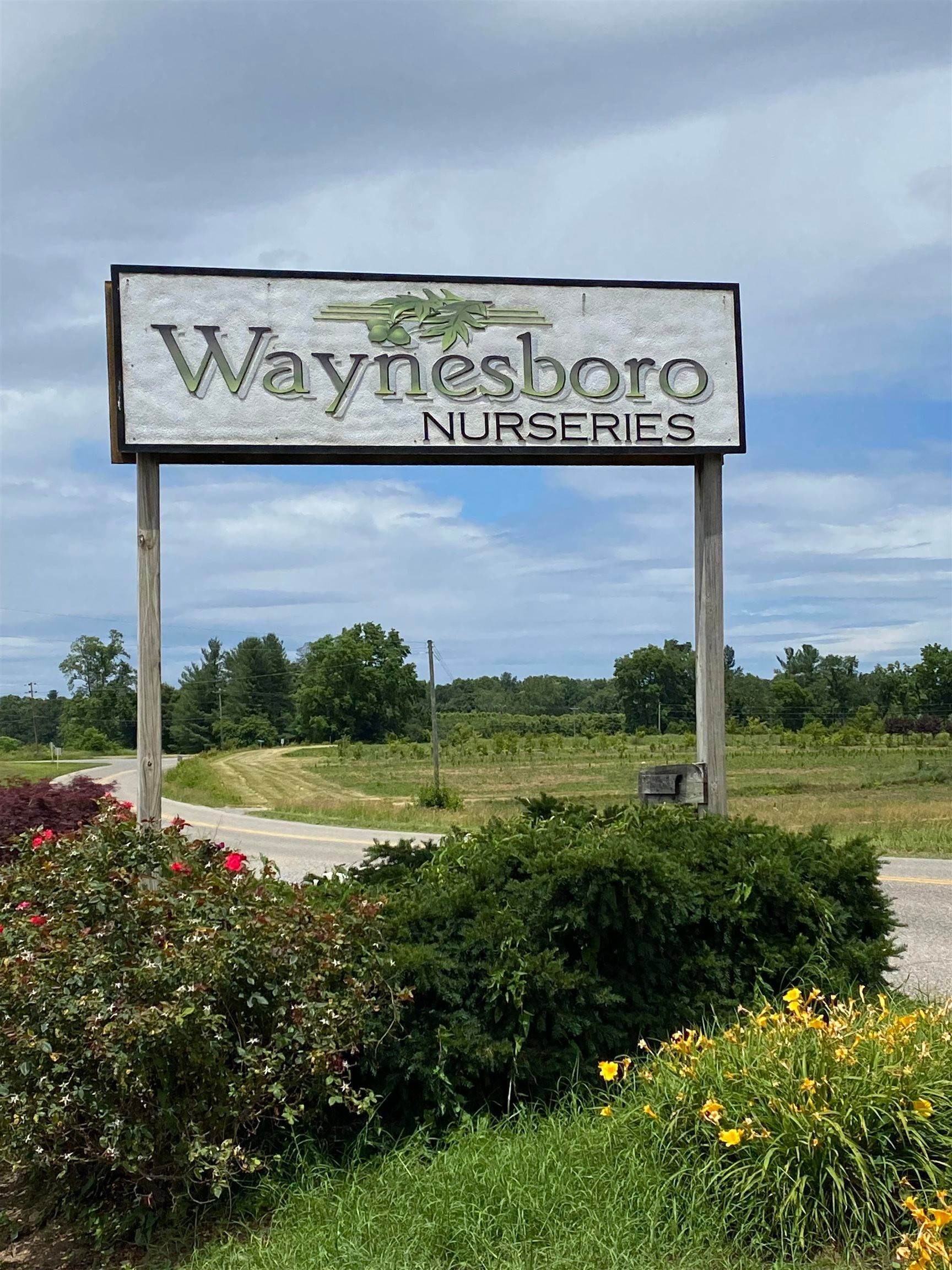 土地,用地 为 销售 在 2591 LYNDHURST Road Waynesboro, 弗吉尼亚州 22980 美国