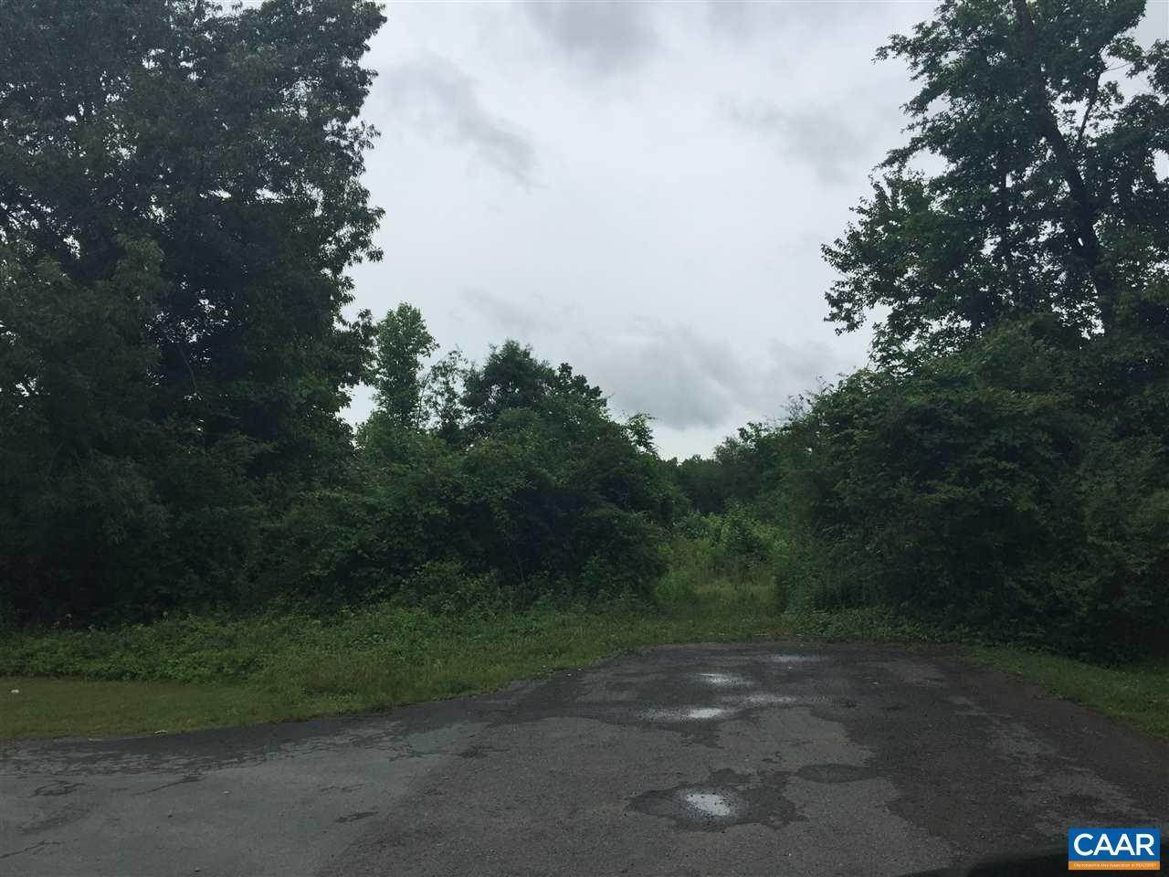 Land for Sale at VIRGINIA Avenue Mineral, Virginia 23117 United States