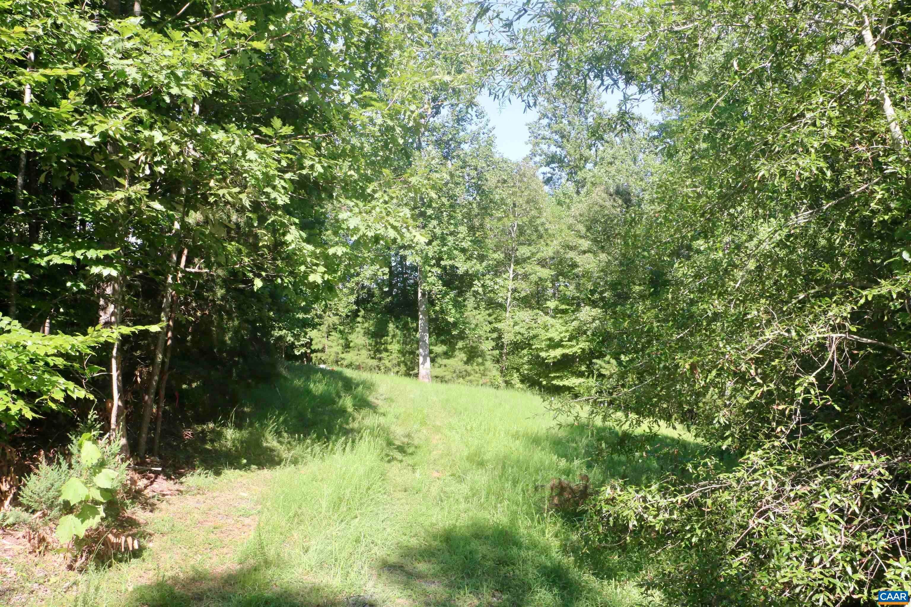 9. Land for Sale at Lot 3 DAVENTRY Lane Charlottesville, Virginia 22911 United States