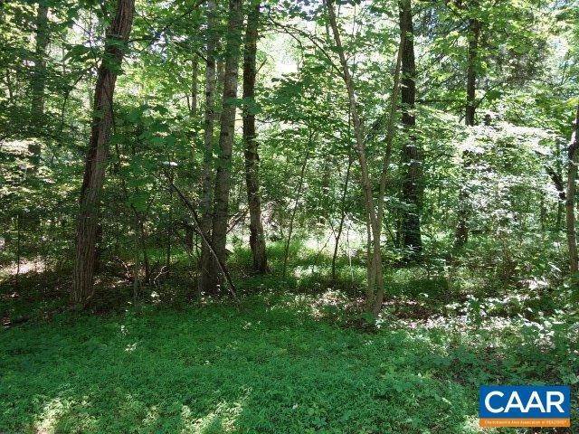 8. Land for Sale at 866 STONEY CREEK EAST Nellysford, Virginia 22958 United States
