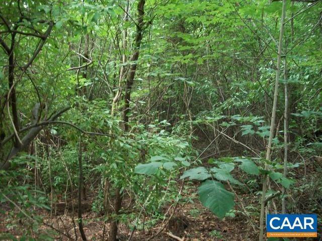 11. Land for Sale at Lot 1 PREDDY CREEK Road Ruckersville, Virginia 22968 United States