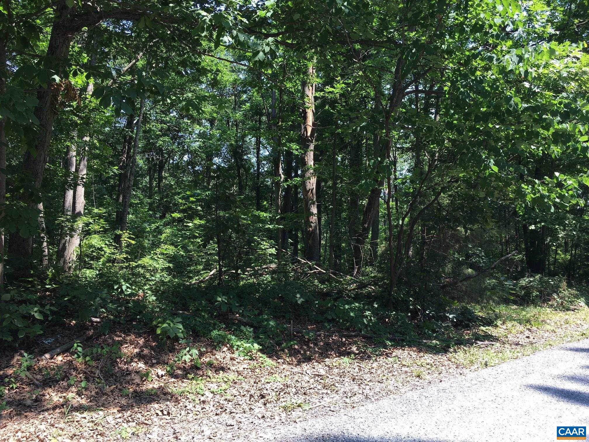 2. Land for Sale at RIVERBEND Drive Luray, Virginia 22835 United States