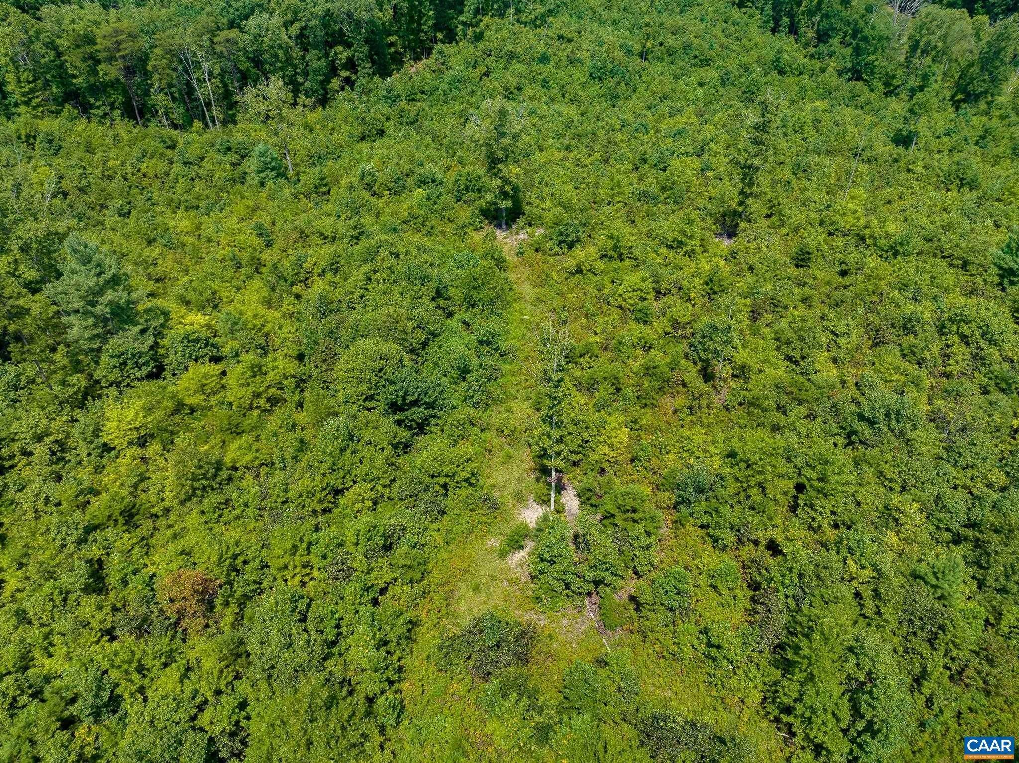 5. Land for Sale at 4722 PRESIDENTS Road Scottsville, Virginia 24590 United States
