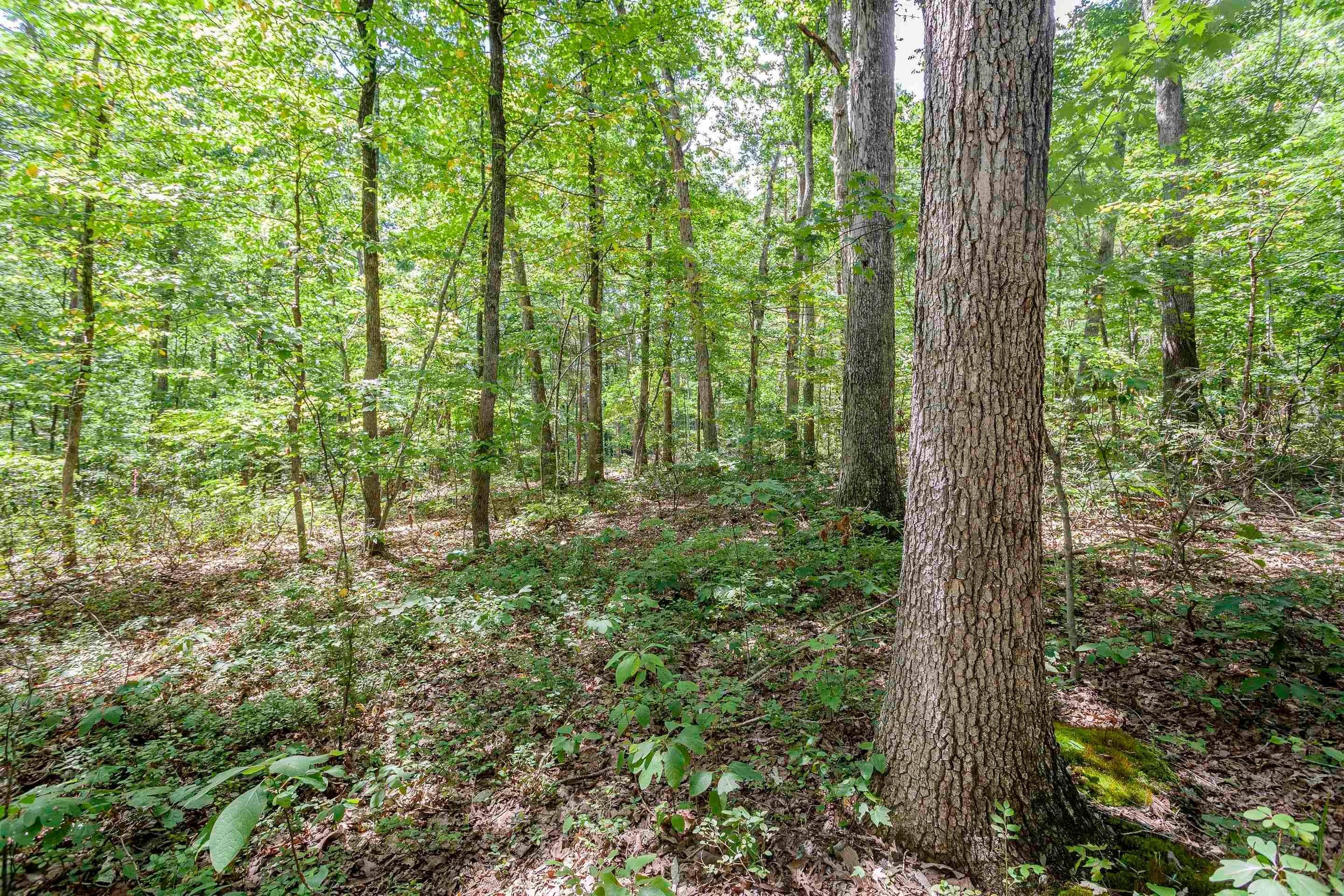 4. Land for Sale at Lot K-38 WHITE OAK Road Luray, Virginia 22835 United States