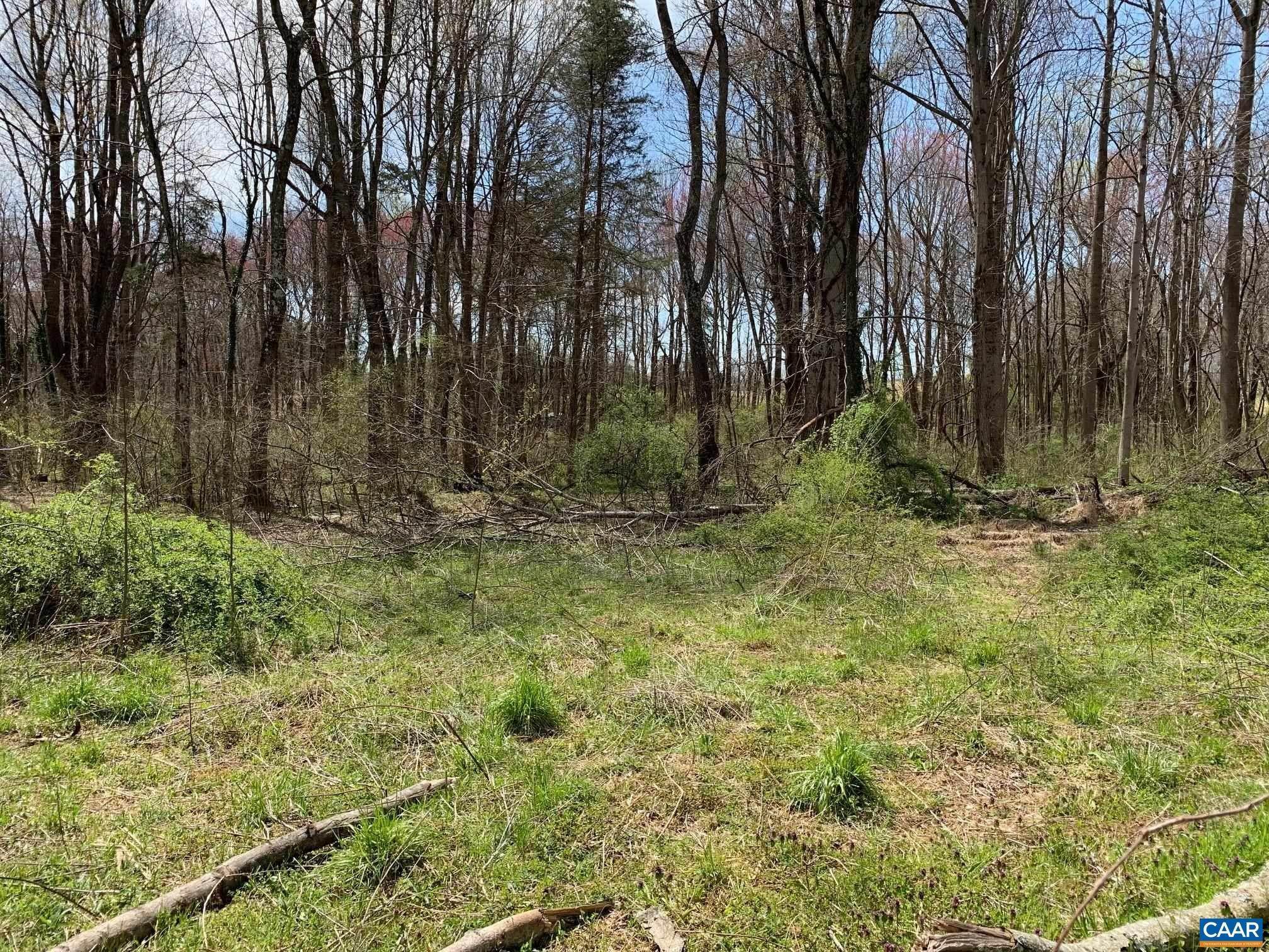 Land for Sale at TM 48-40a SCHOOL BOARD Court Madison, Virginia 22727 United States