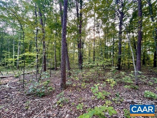 4. Land for Sale at 114-46A3 PRESIDENTS Road Scottsville, Virginia 24590 United States