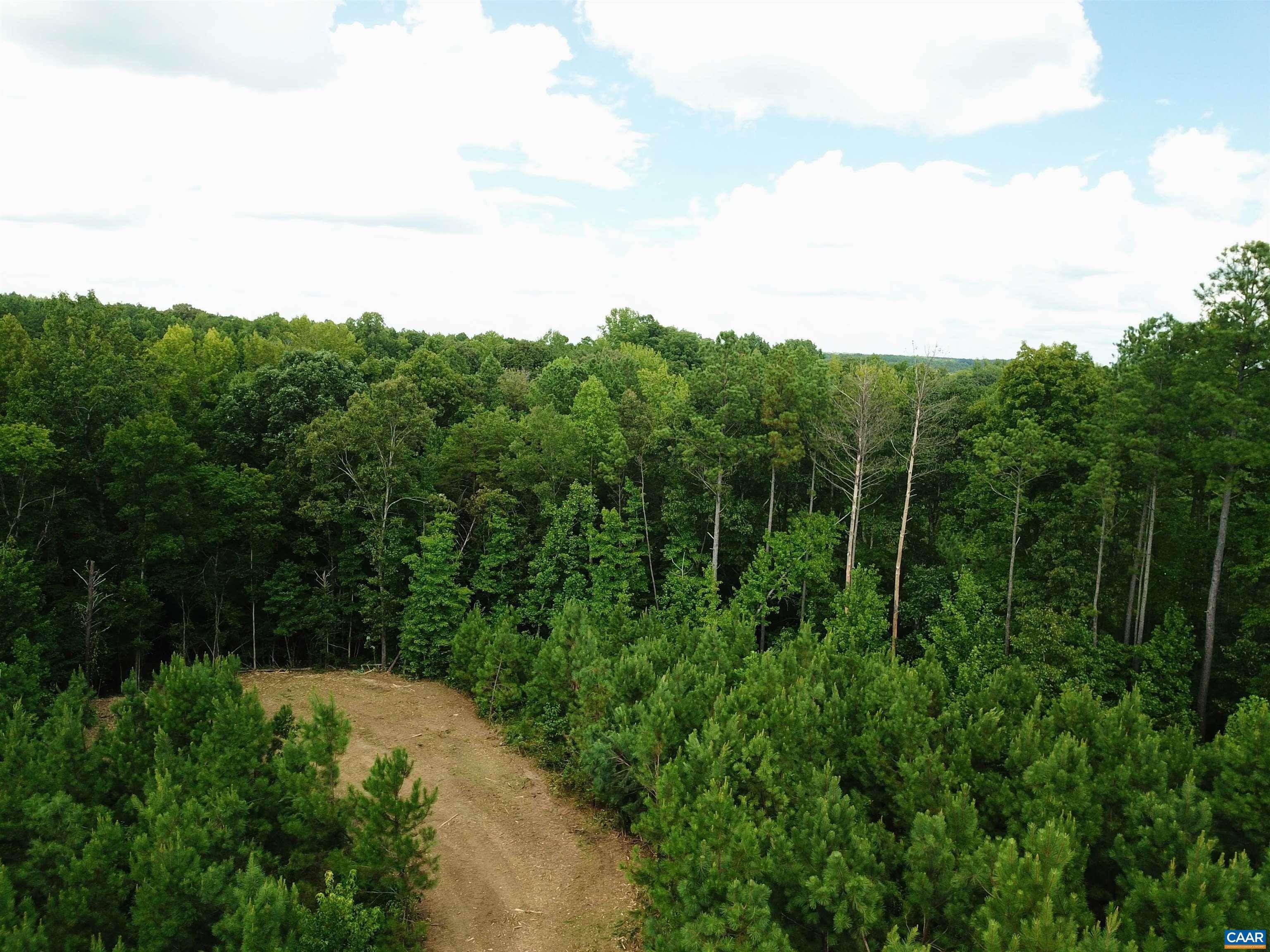 4. Land for Sale at TBA Lot 1 SPORTS LAKE Road New Canton, Virginia 23123 United States