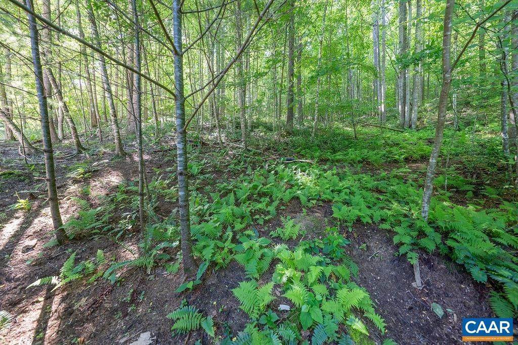 30. Land for Sale at 4805 FOX MOUNTAIN Road Crozet, Virginia 22932 United States
