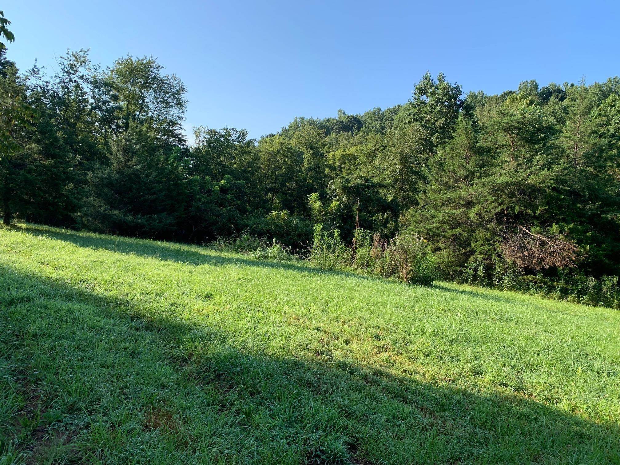 2. Land for Sale at TBD CASTLE ROCK Road Afton, Virginia 22920 United States
