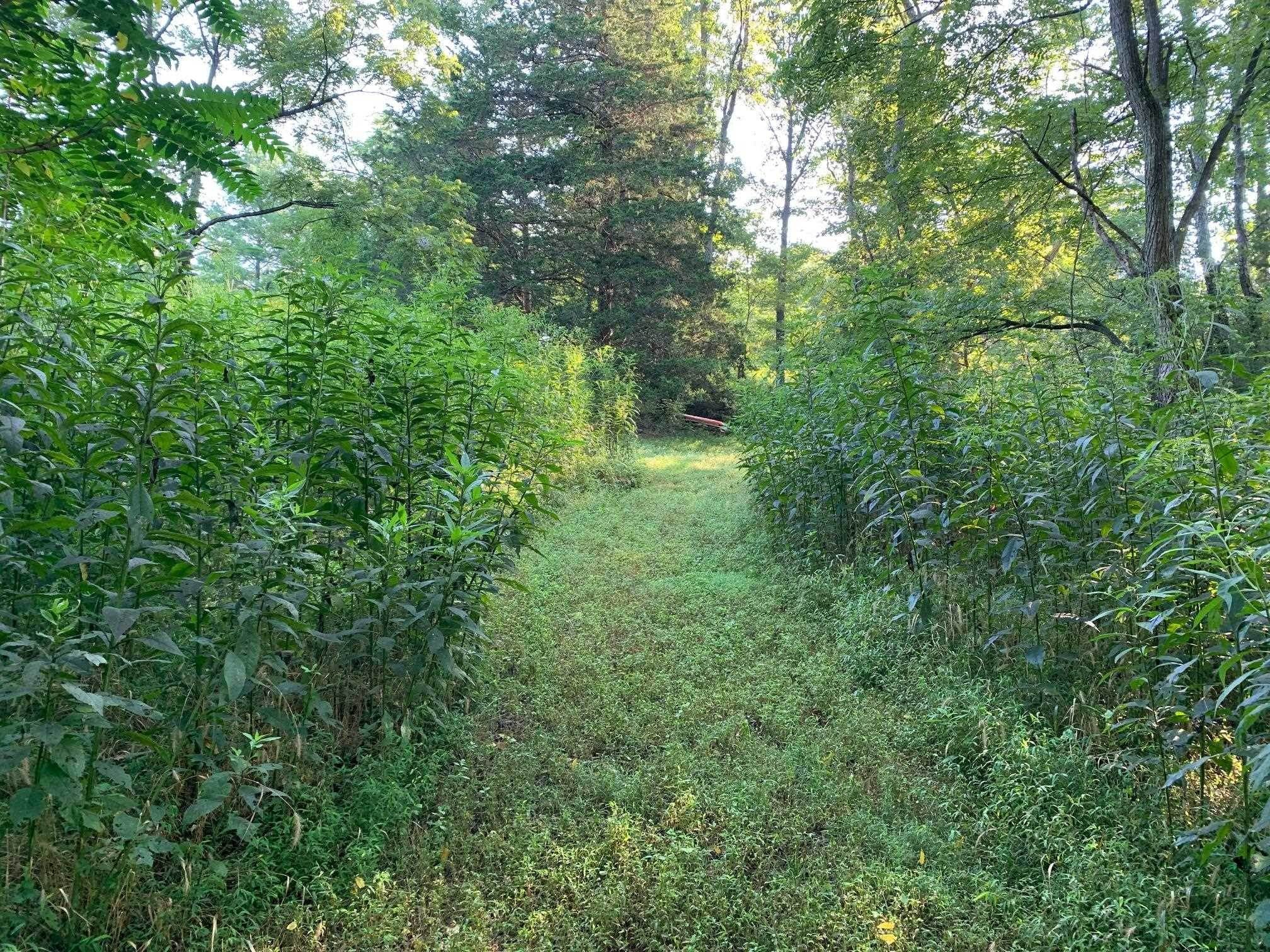 6. Land for Sale at TBD CASTLE ROCK Road Afton, Virginia 22920 United States
