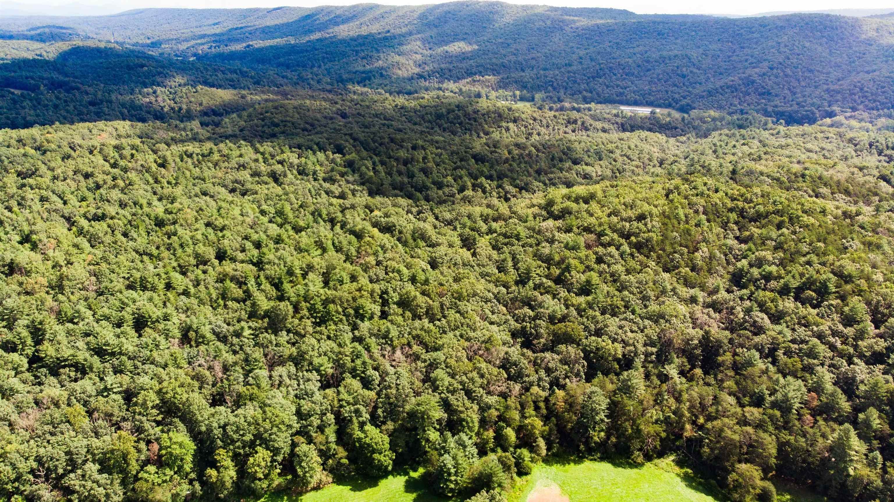 4. Land for Sale at TBD Lot 19 RUNIONS CREEK Road Harrisonburg, Virginia 22801 United States