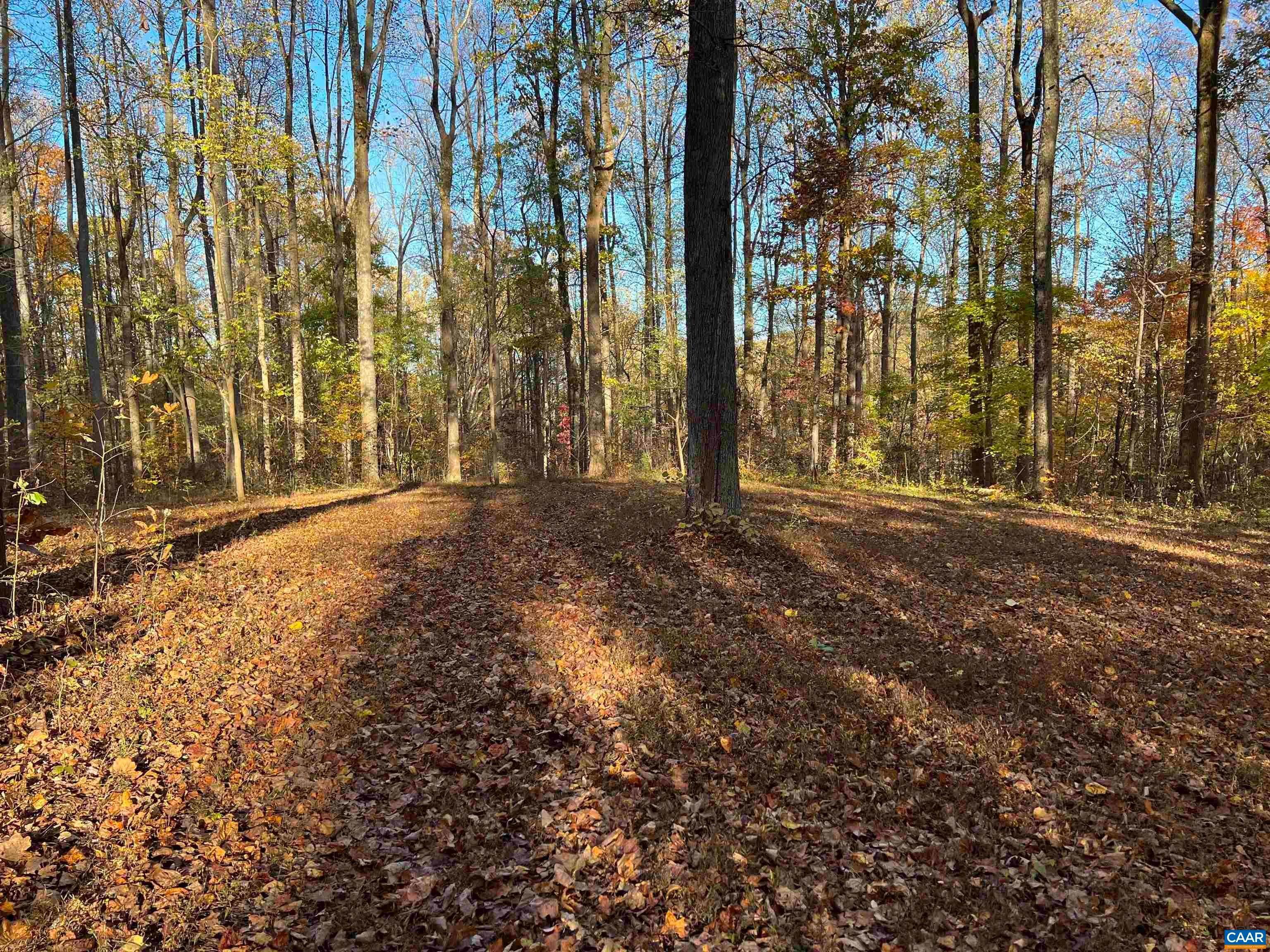 3. Land for Sale at 1226 GIBSONS HOLLOW Lane Charlottesville, Virginia 22901 United States