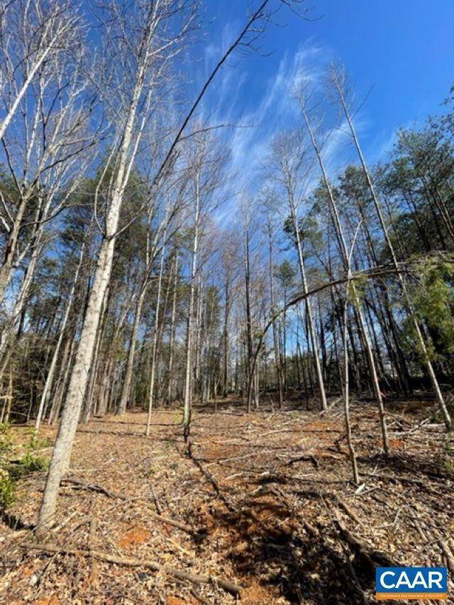 7. Land for Sale at TBD1 PLANK Road Afton, Virginia 22920 United States