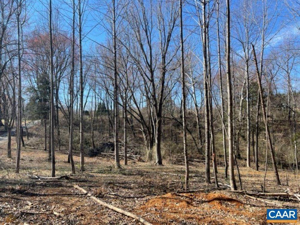 3. Land for Sale at TBD2 PLANK Road Afton, Virginia 22920 United States