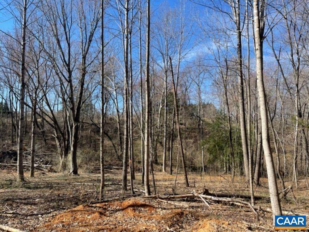 4. Land for Sale at TBD2 PLANK Road Afton, Virginia 22920 United States