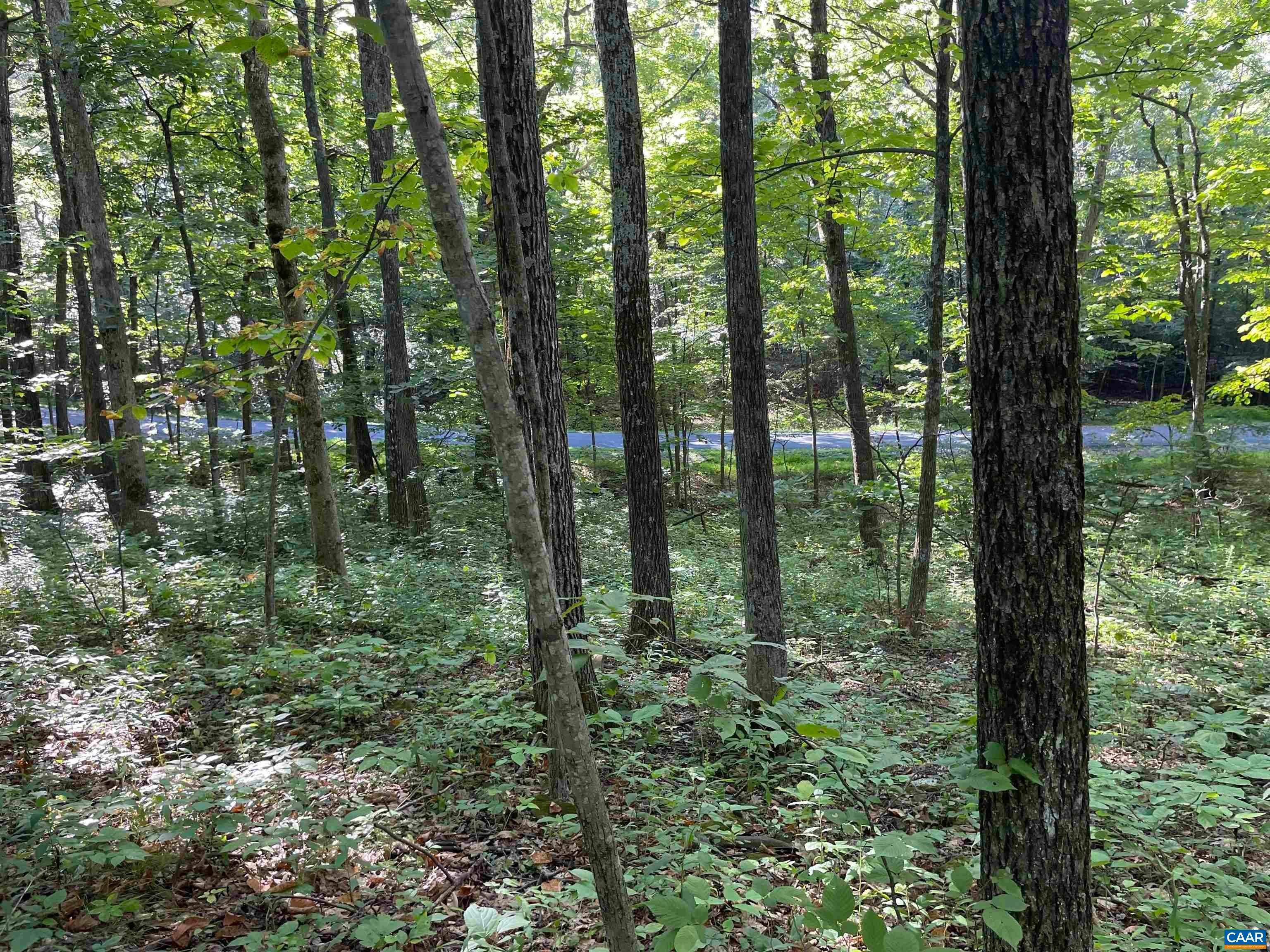 1. Land for Sale at Lot 94 GUMTREE Drive Roseland, Virginia 22967 United States