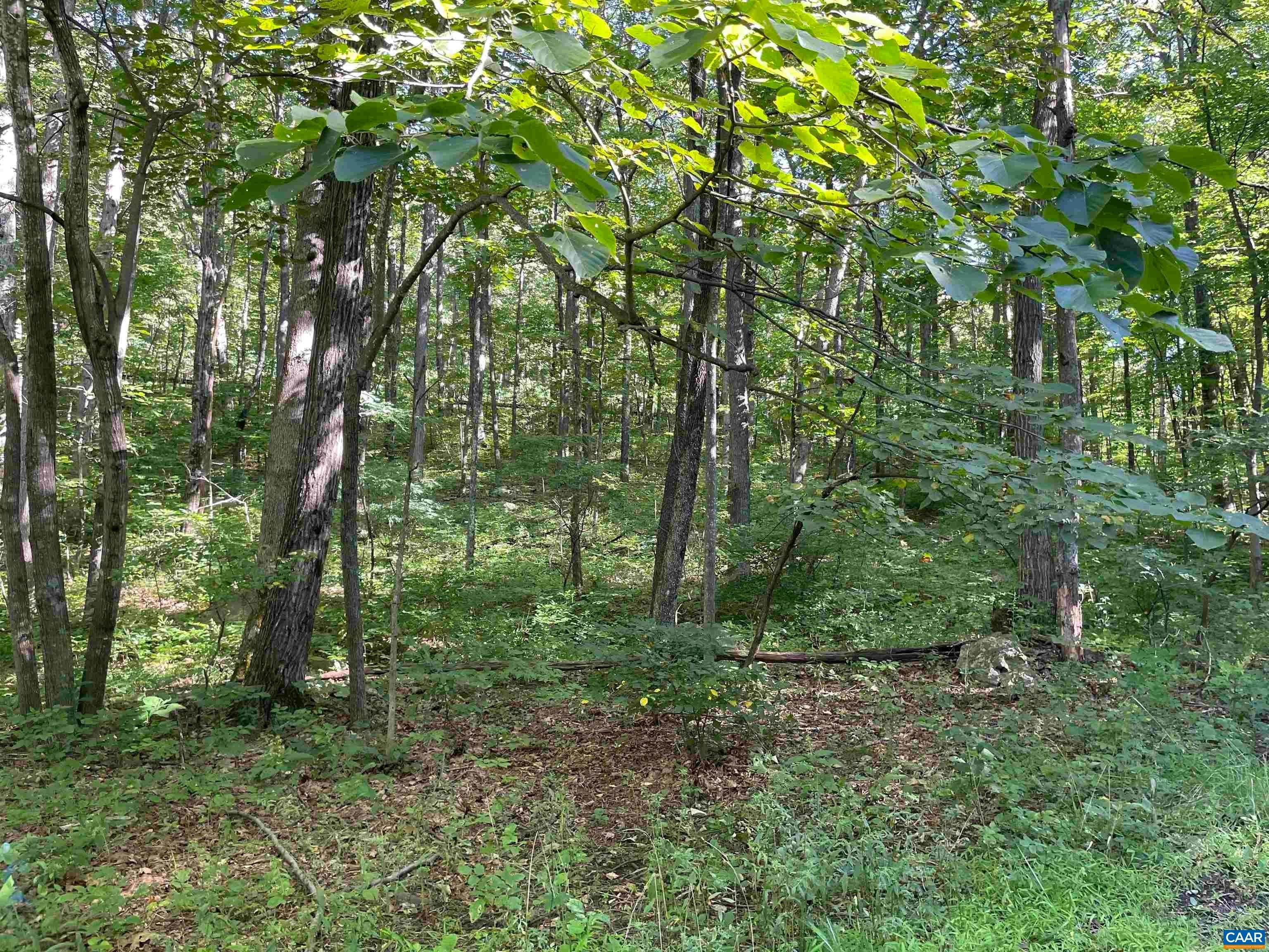 5. Land for Sale at Lot 94 GUMTREE Drive Roseland, Virginia 22967 United States